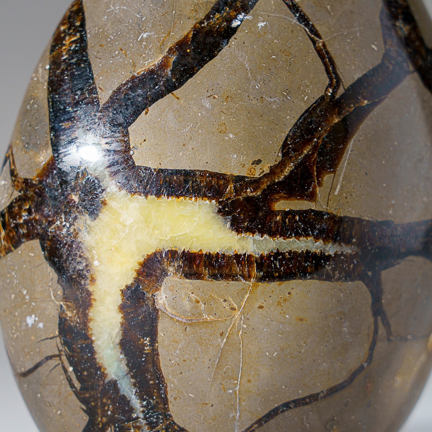 Polished Septarian Freeform from Madagascar (2 lbs)