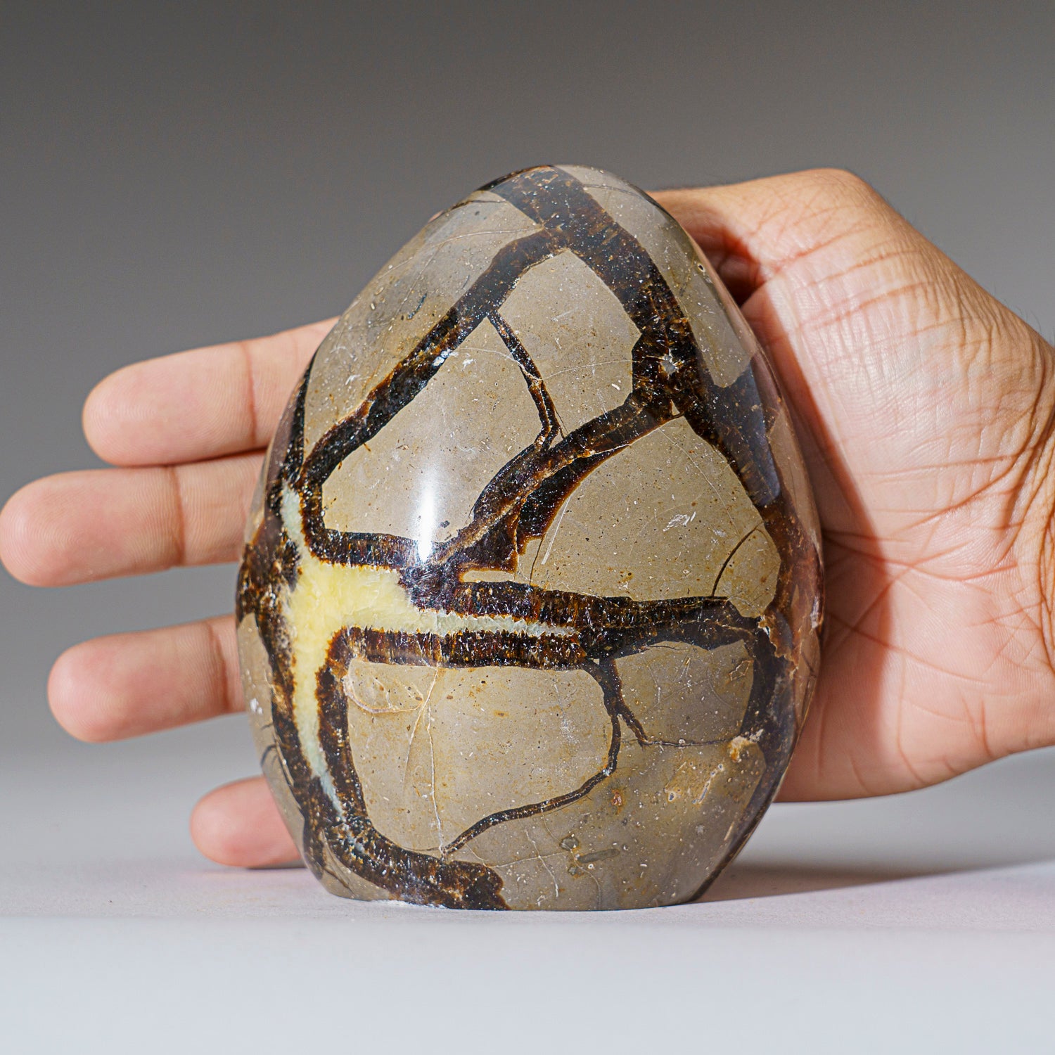 Polished Septarian Freeform from Madagascar (2 lbs)