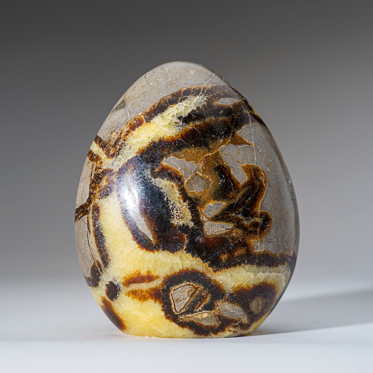 Polished Septarian Freeform from Madagascar (2.5 lbs)