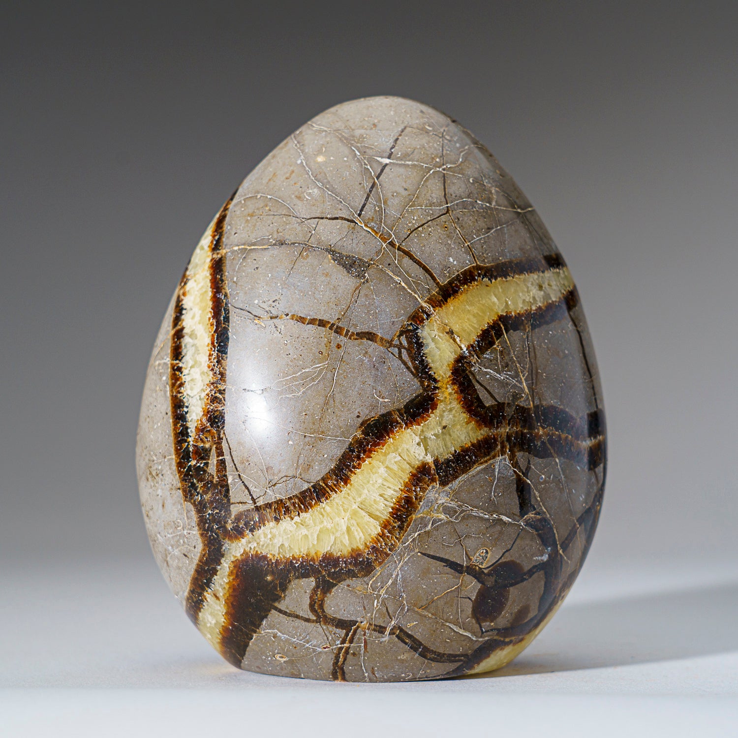 Polished Septarian Freeform from Madagascar (2.5 lbs)