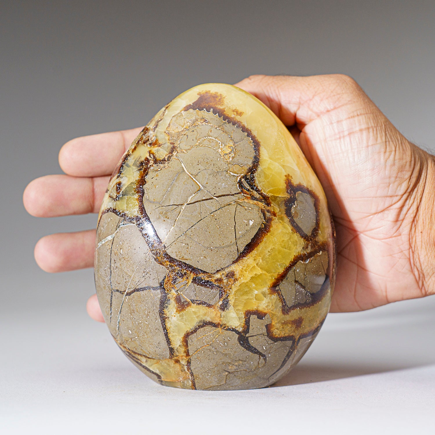 Polished Septarian Freeform from Madagascar (2.6 lbs)