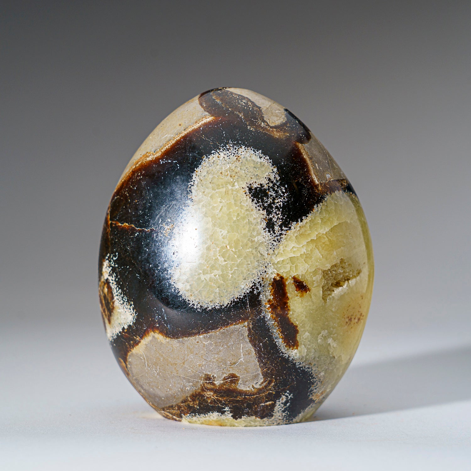 Polished Septarian Freeform from Madagascar (2 lbs)