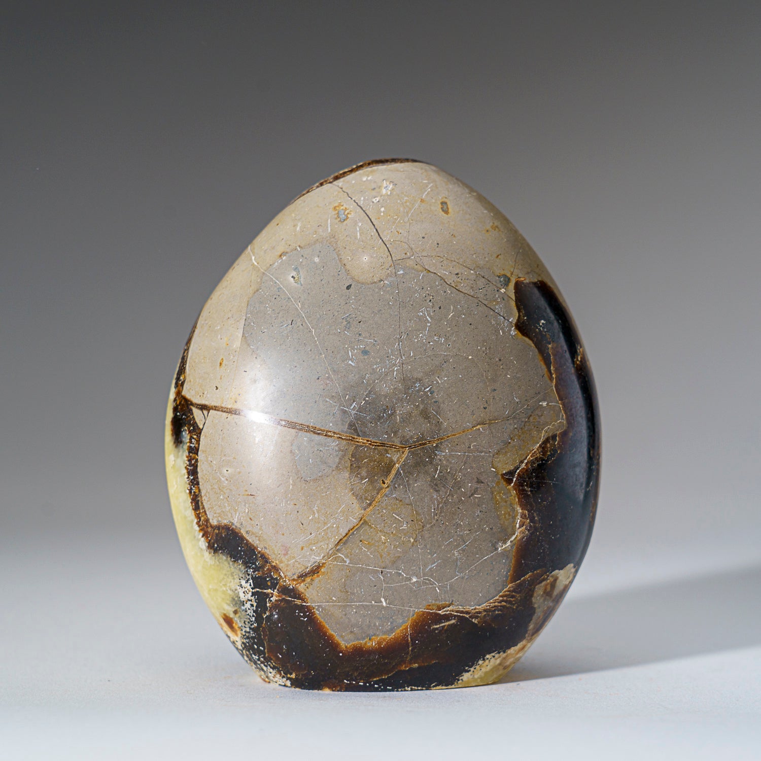 Polished Septarian Freeform from Madagascar (2 lbs)