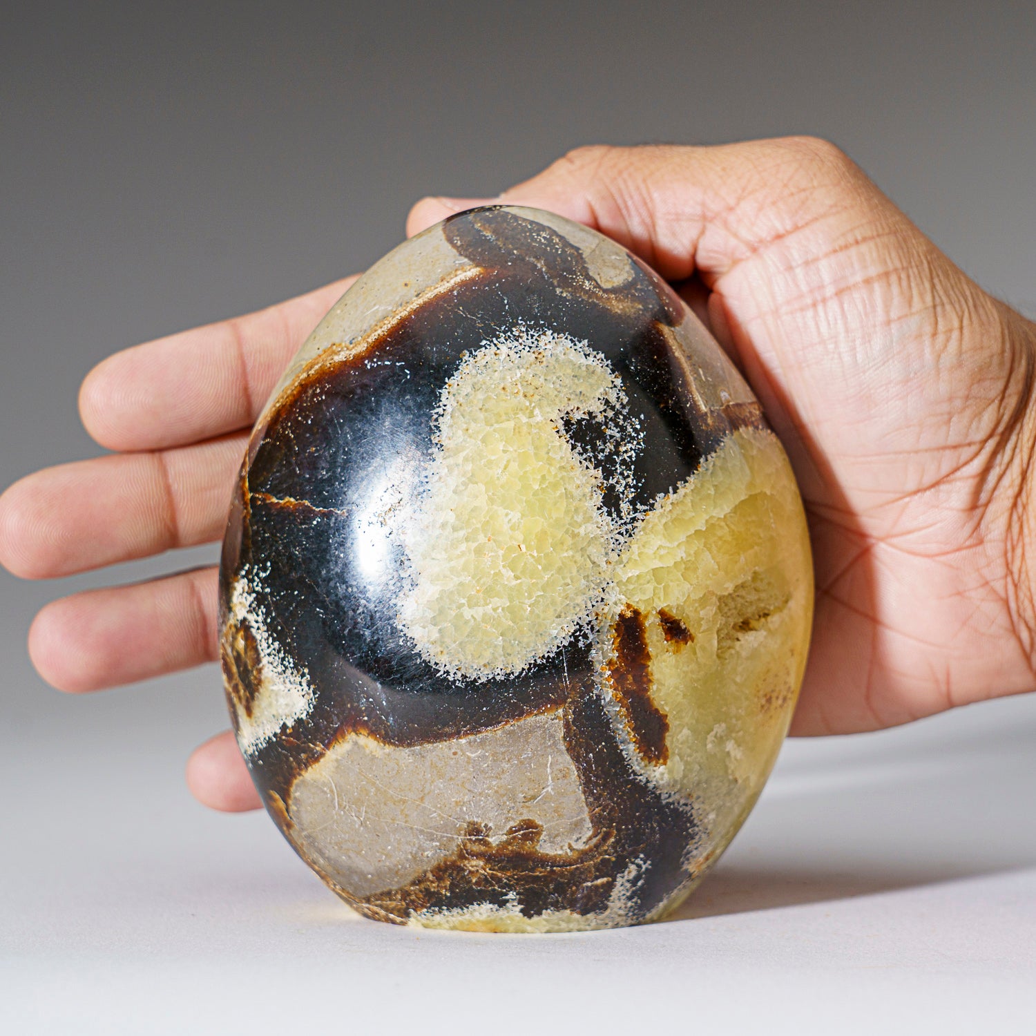 Polished Septarian Freeform from Madagascar (2 lbs)