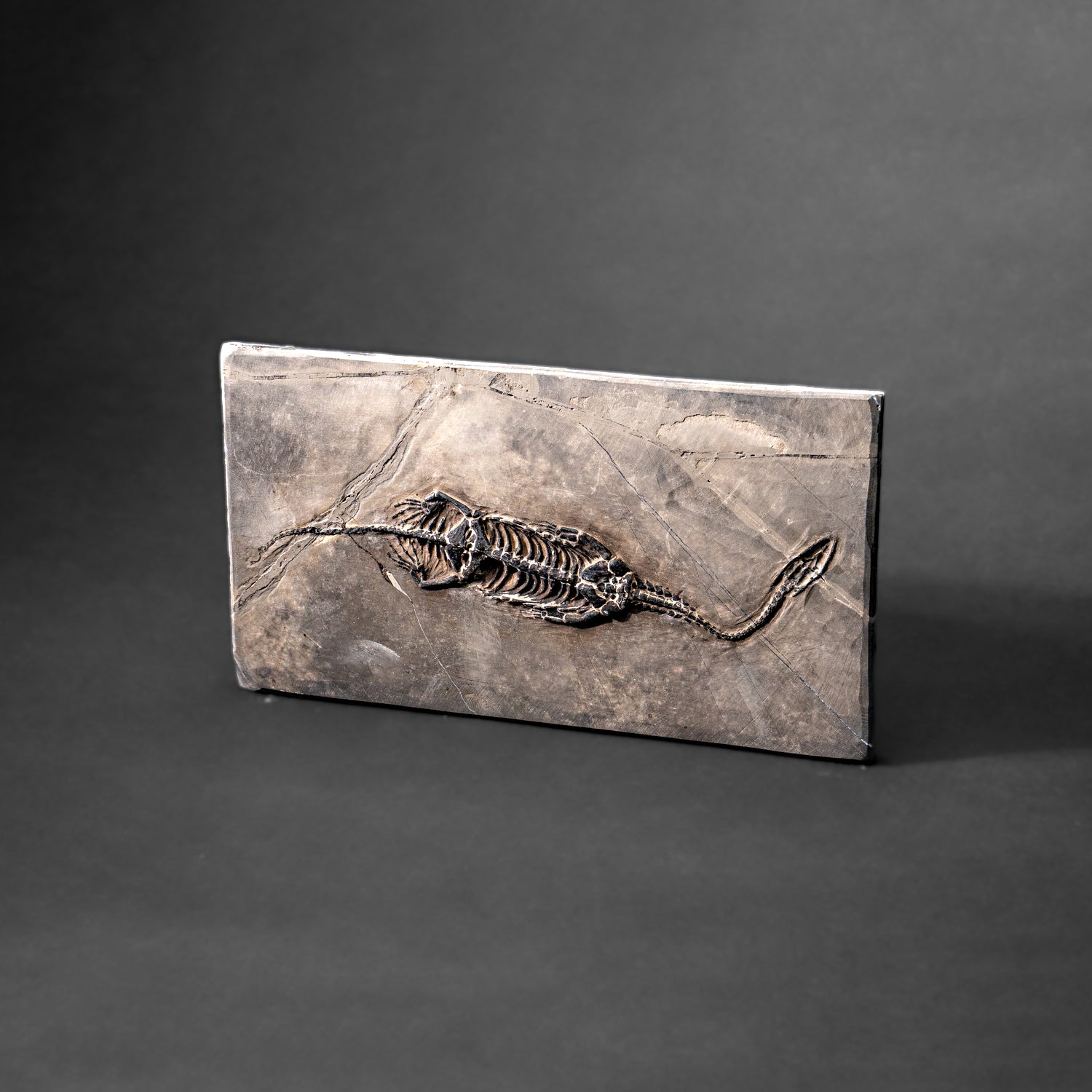 Genuine Fossilized Keichousaurus in Matrix (527.8 grams)