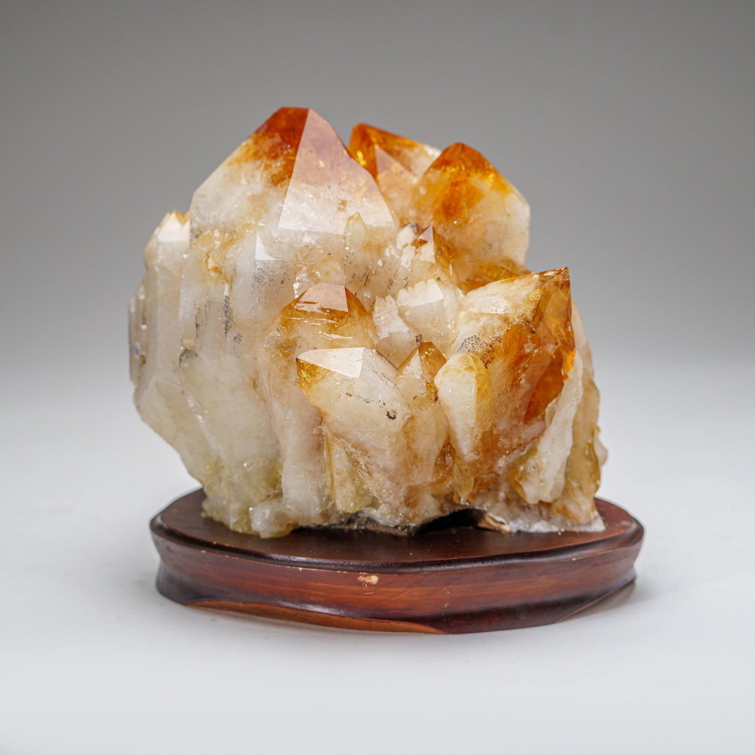 Genuine Citrine Quartz Crystal Cluster on Custom Wooden Stand (18.8 lbs)