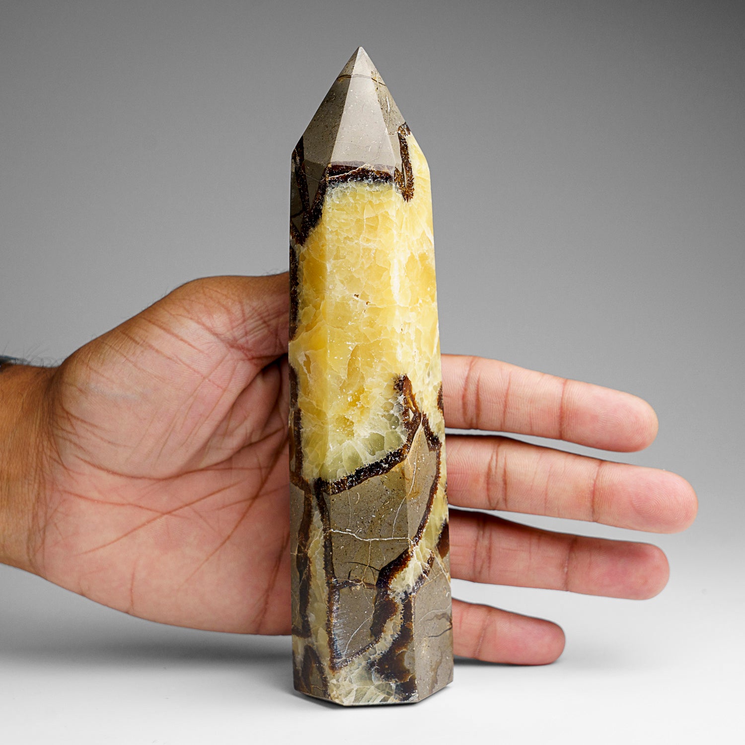 Genuine Polished Septarian Point from Madagascar (1.1 lbs)