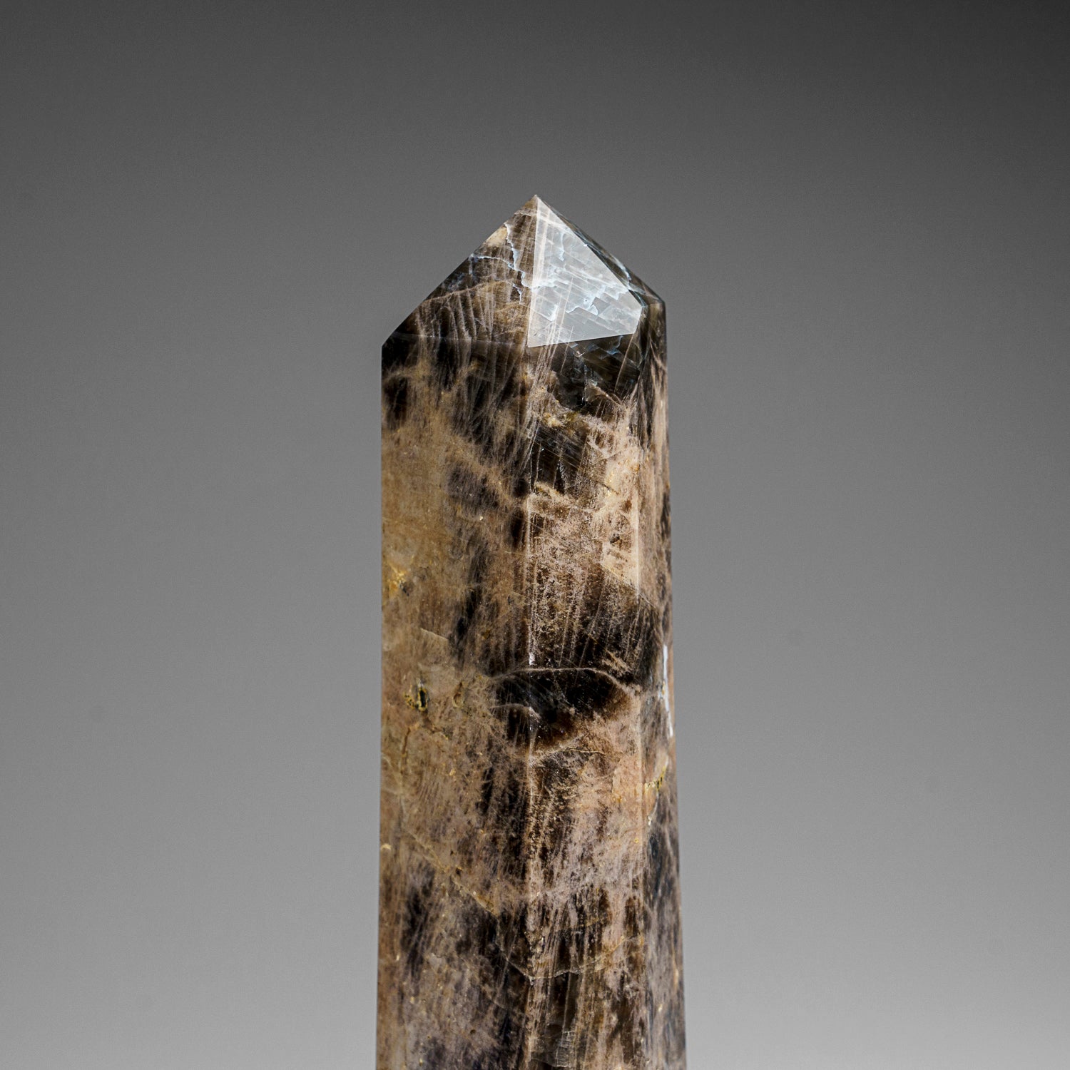 Genuine Polished Black Moonstone Point (1.7 lbs)