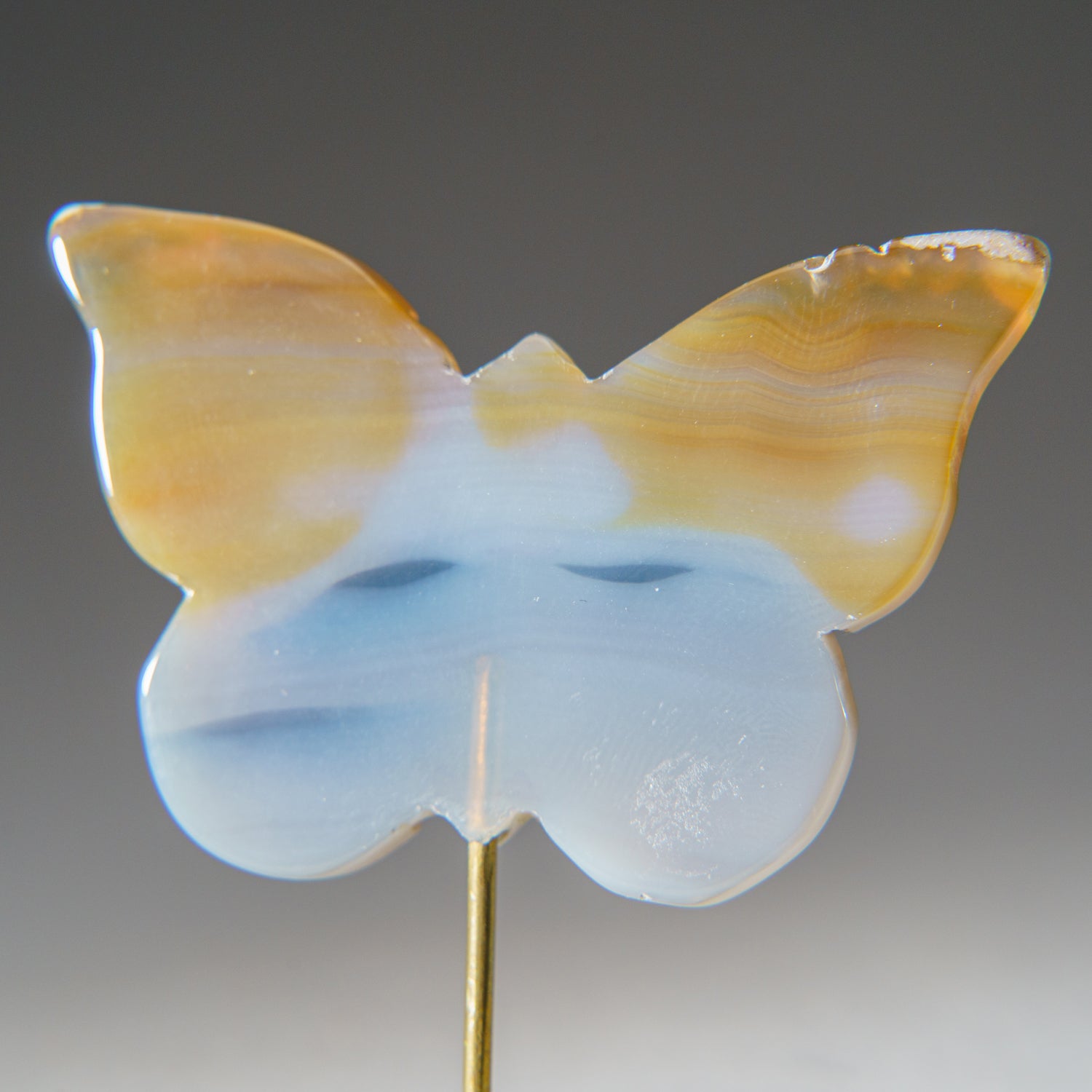 Polished Banded Agate Butterfly on Custom Metal Stand (42.5 grams)