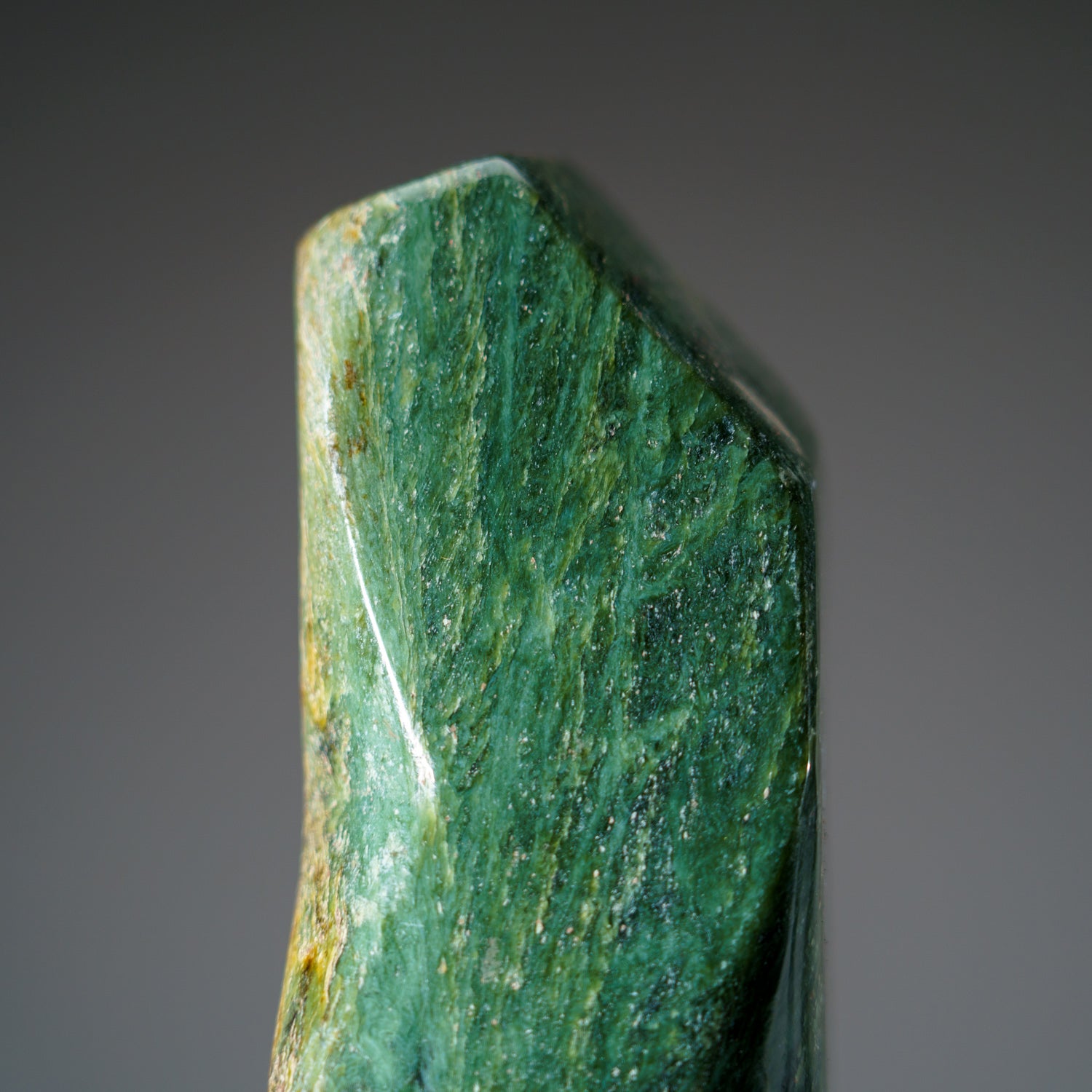 Polished Nephrite Jade Freeform from Pakistan (2.4 lbs)
