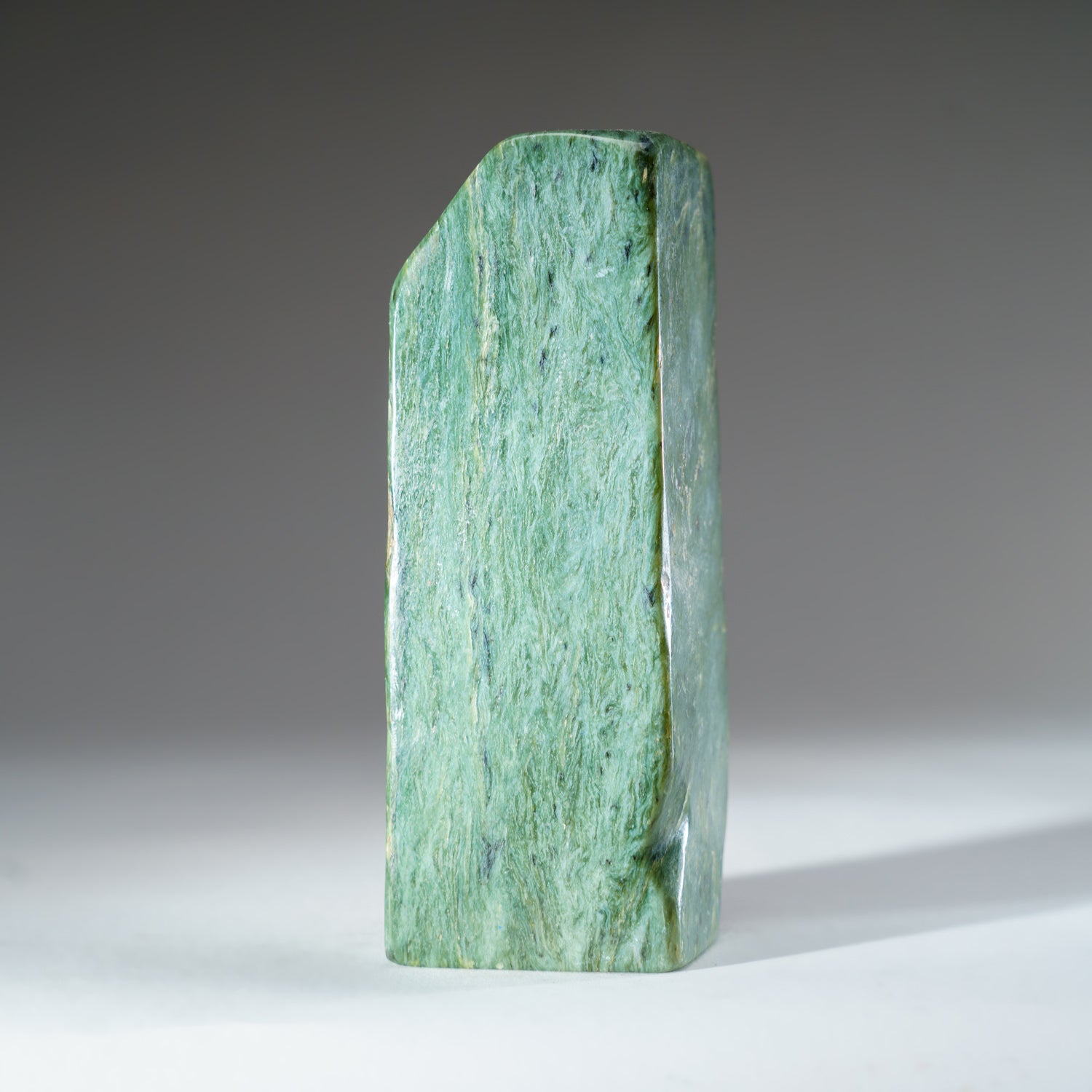 Polished Nephrite Jade Freeform from Pakistan (2.5 lbs)