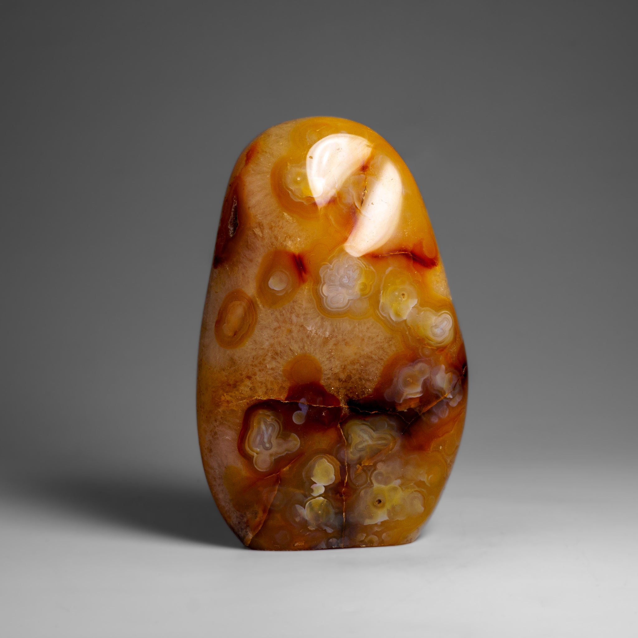 Genuine Polished Agate Freeform from Madagascar (1.2 lbs)