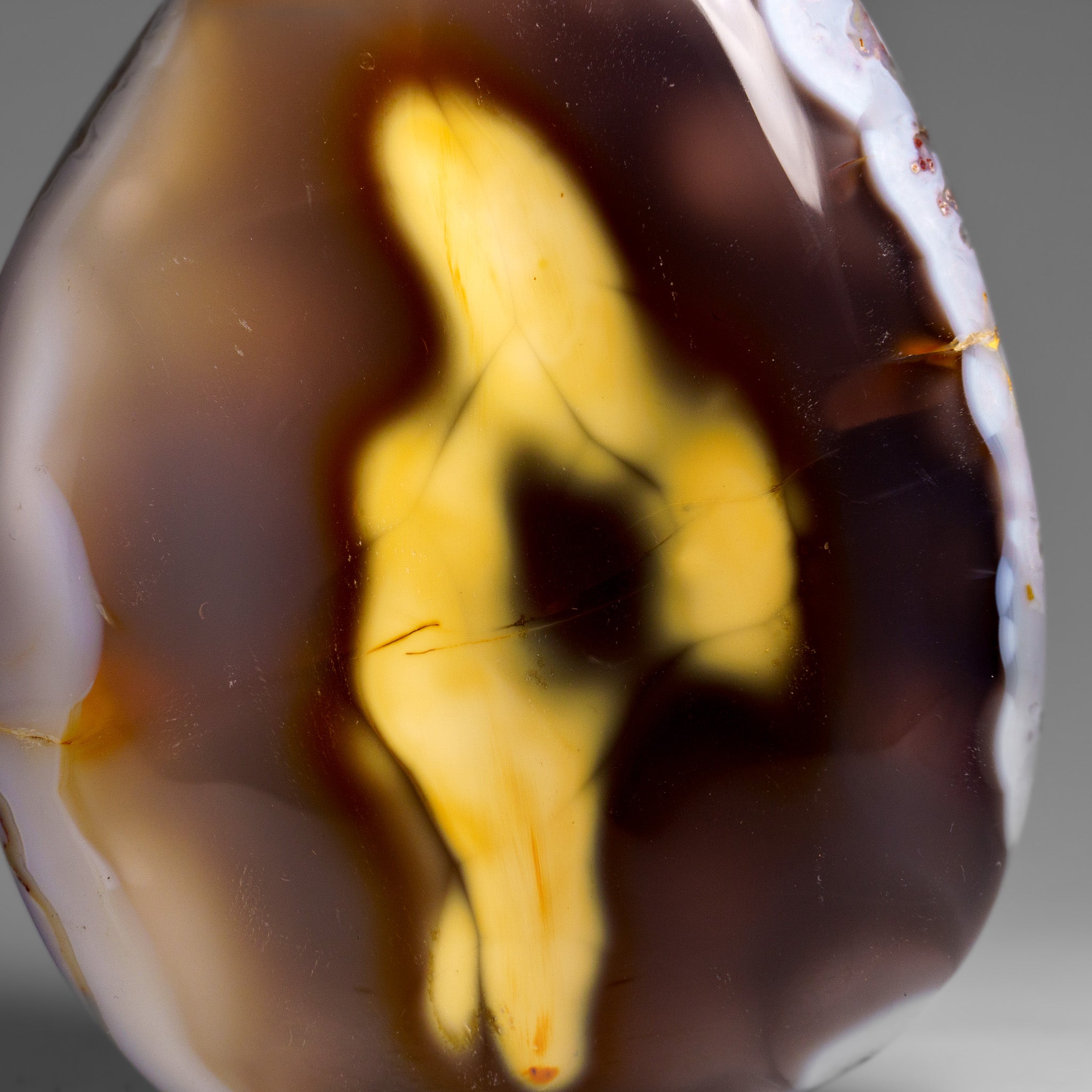 Genuine Polished Agate Freeform from Madagascar (1.8 lbs)