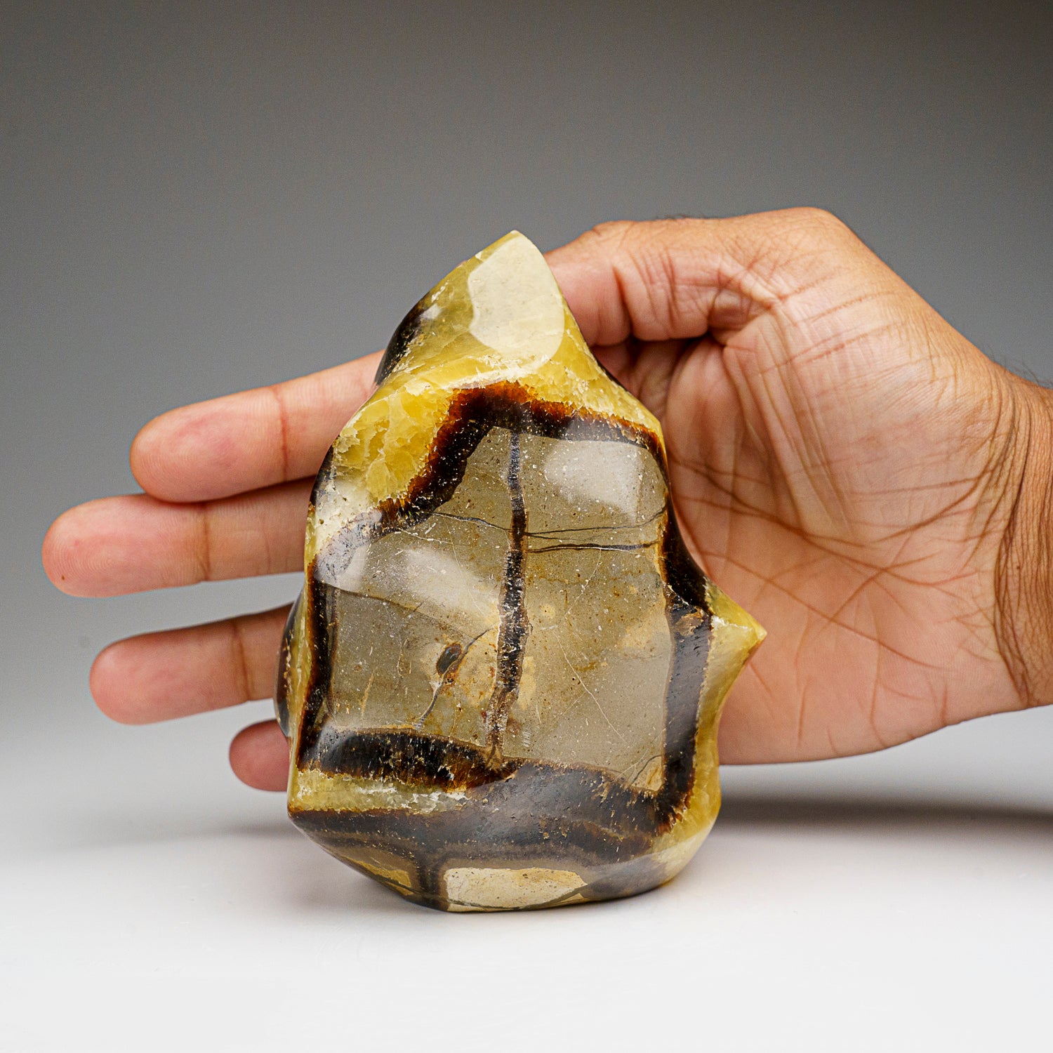 Polished Septarian Flame Freeform from Madagascar (1.7 lbs)