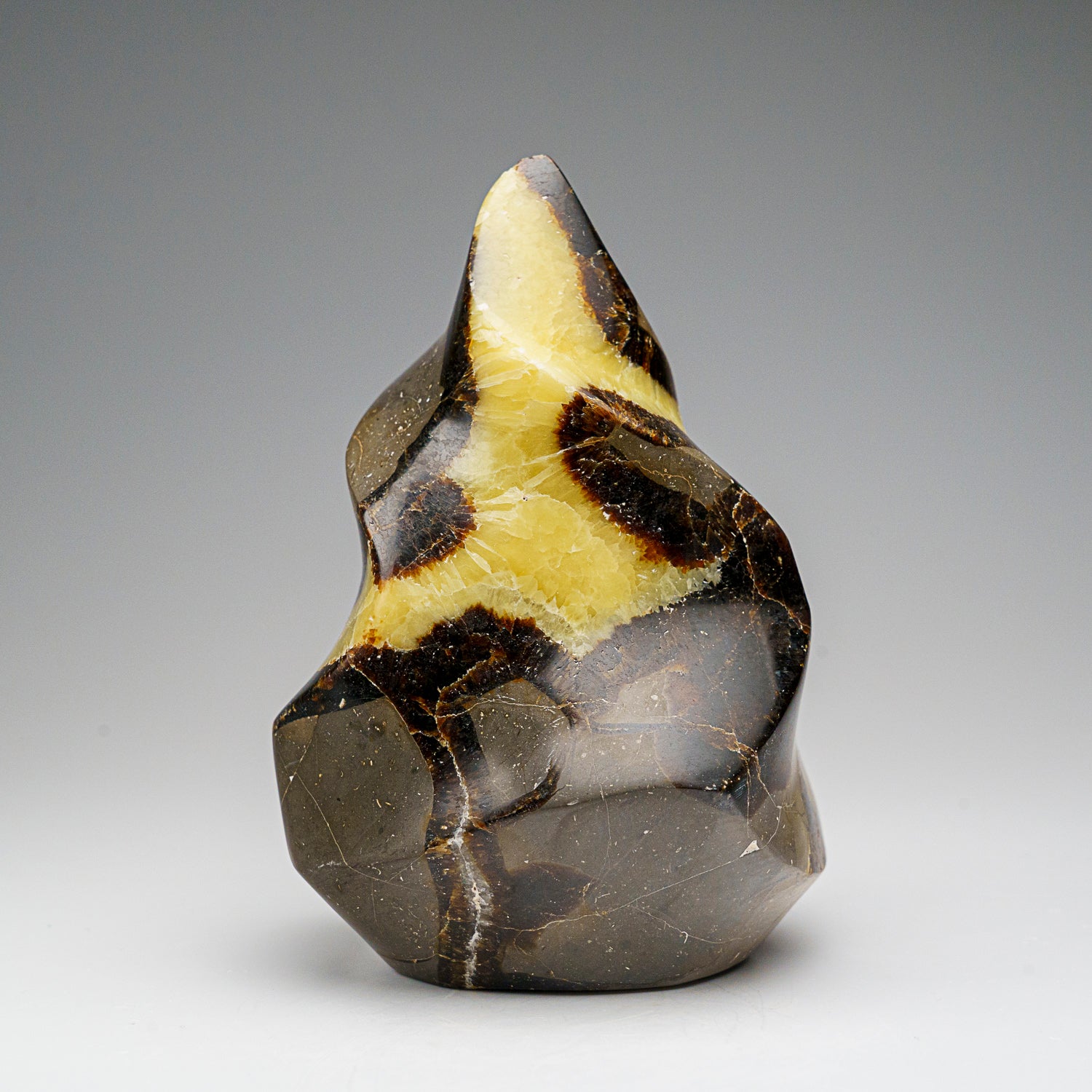 Polished Septarian Flame Freeform from Madagascar (1.6 lbs)