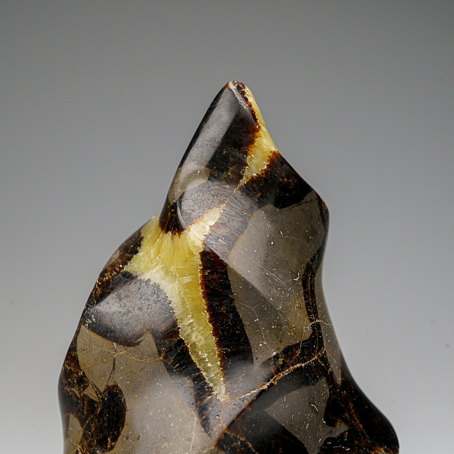 Polished Septarian Flame Freeform from Madagascar (1.6 lbs)