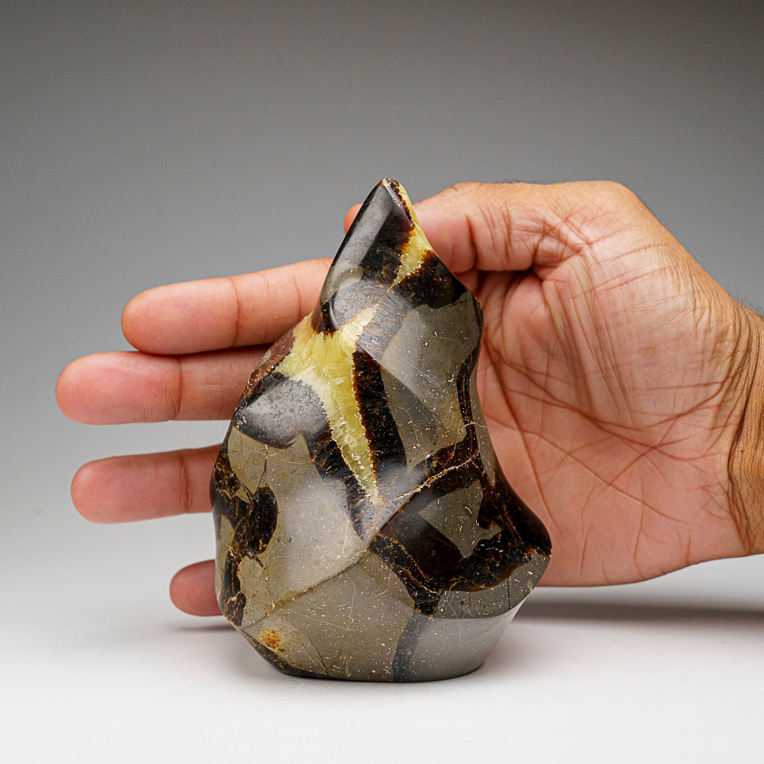 Polished Septarian Flame Freeform from Madagascar (1.6 lbs)