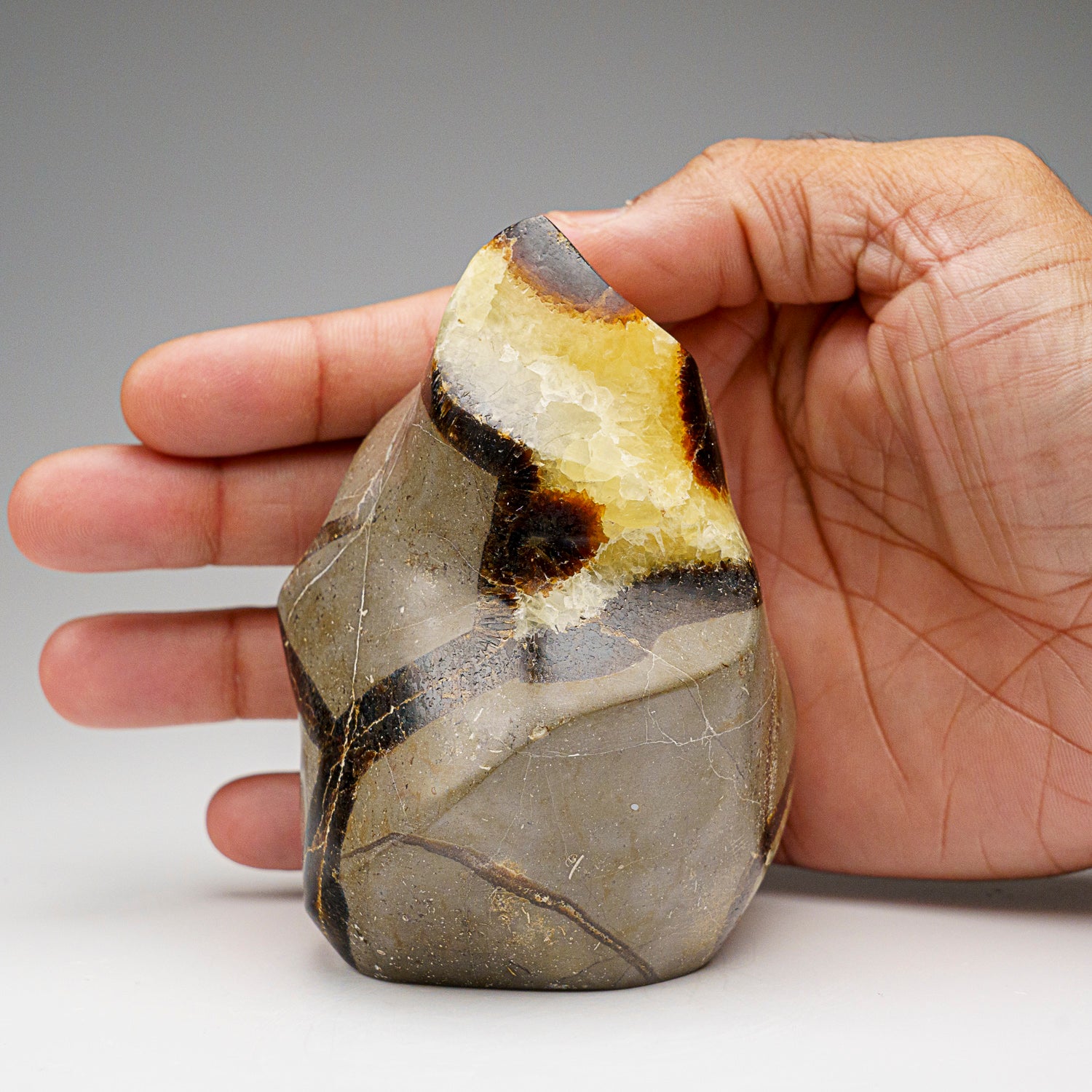 Polished Septarian Flame Freeform from Madagascar (1.3 lbs)