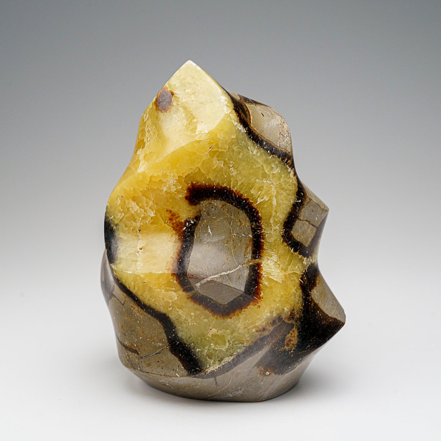 Polished Septarian Flame Freeform from Madagascar (1.8 lbs)