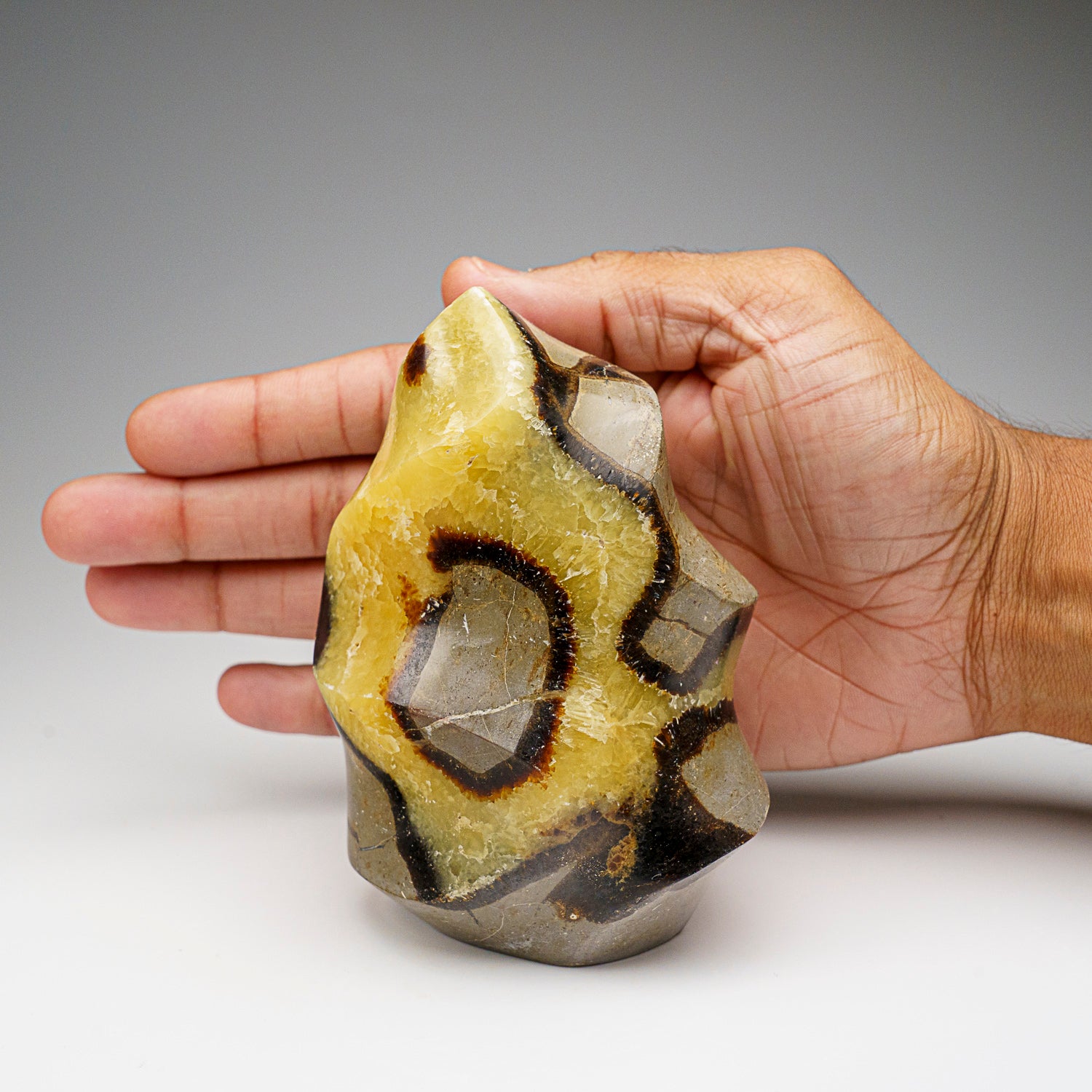 Polished Septarian Flame Freeform from Madagascar (1.8 lbs)