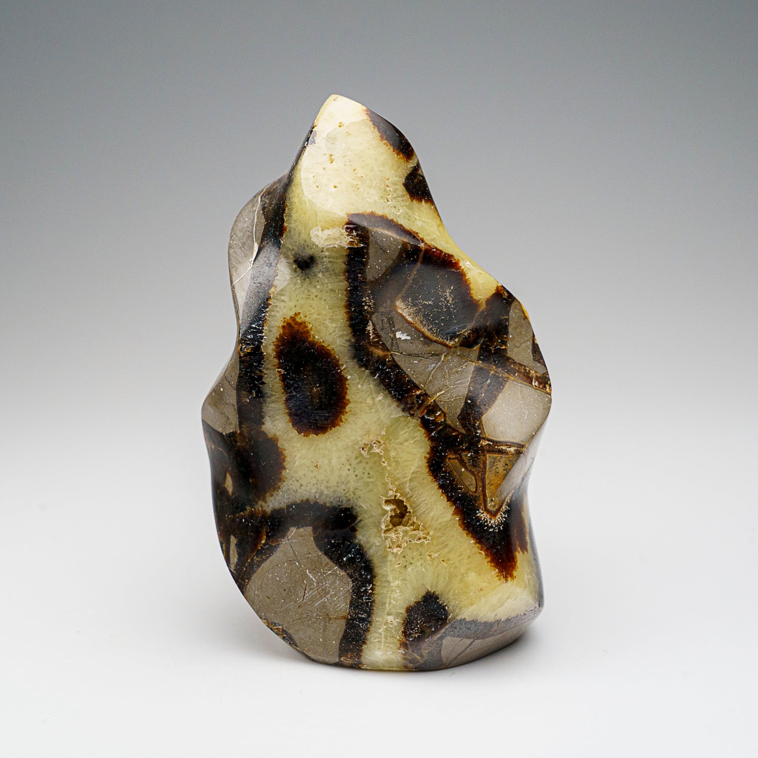 Polished Septarian Flame Freeform from Madagascar (1.3 lbs)