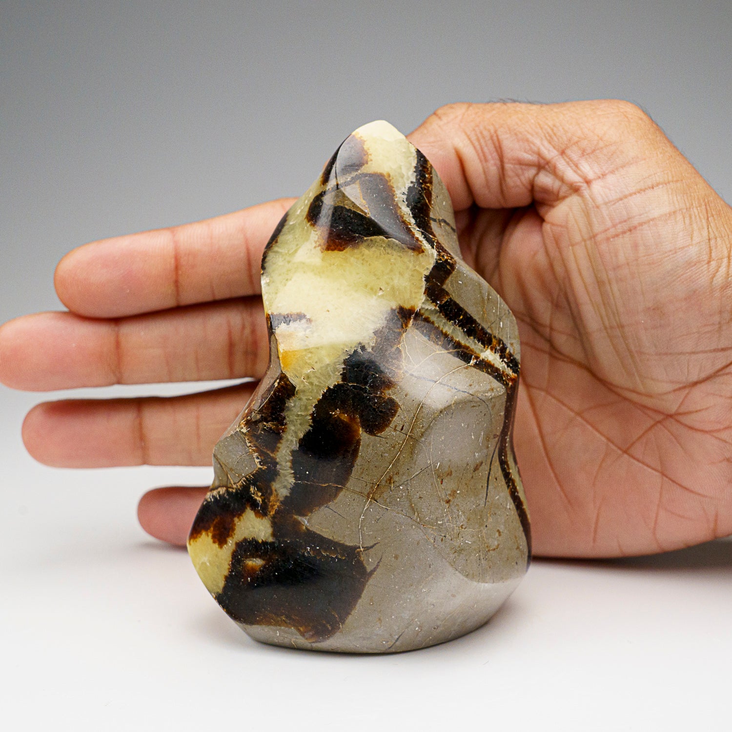 Polished Septarian Flame Freeform from Madagascar (1.3 lbs)