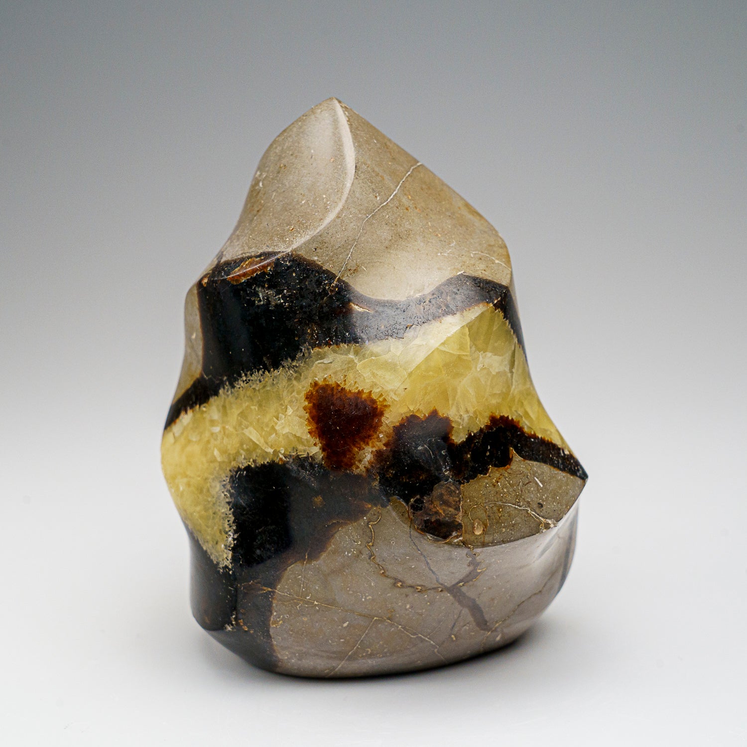 Polished Septarian Flame Freeform from Madagascar (1.3 lbs)