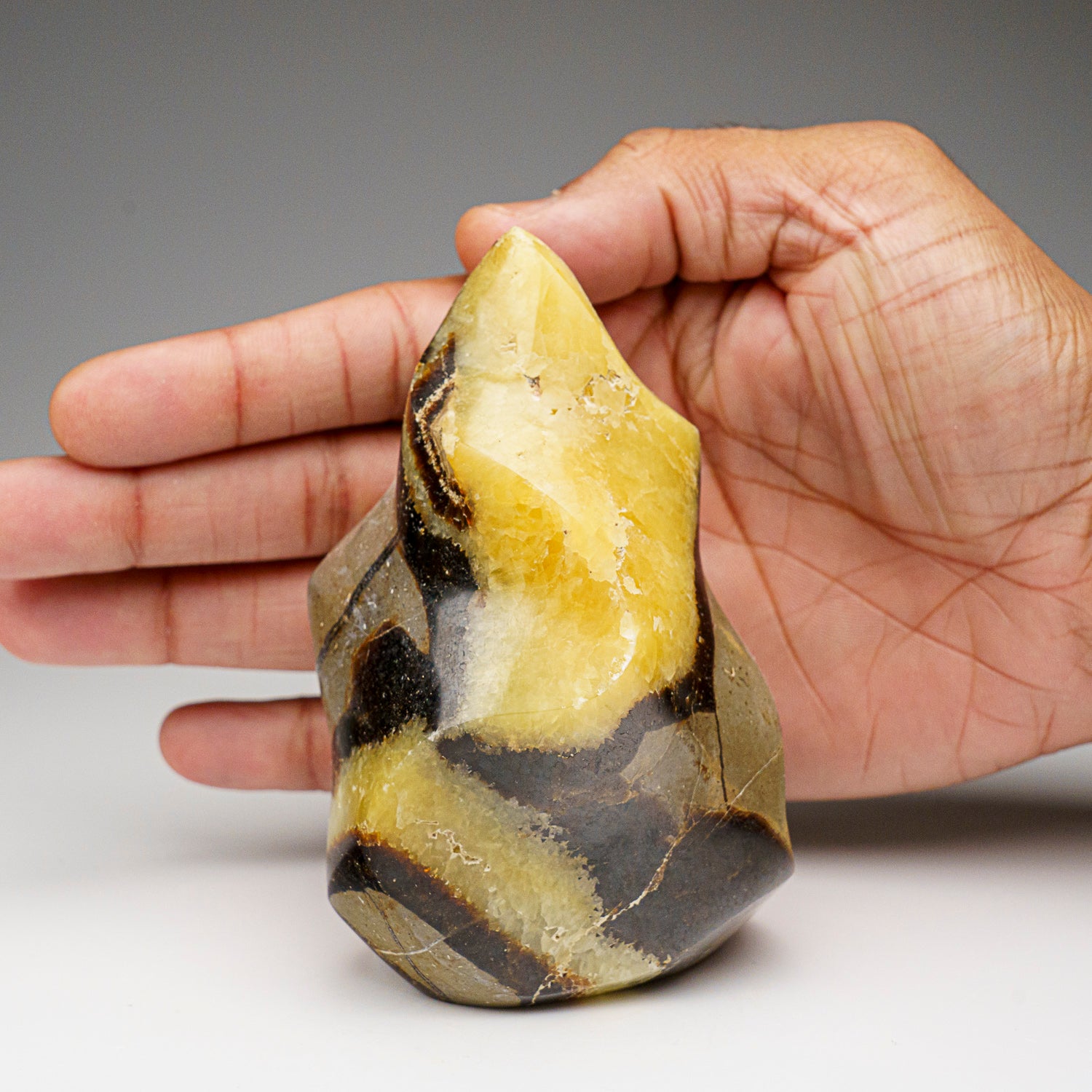 Polished Septarian Flame Freeform from Madagascar (1.2 lbs)