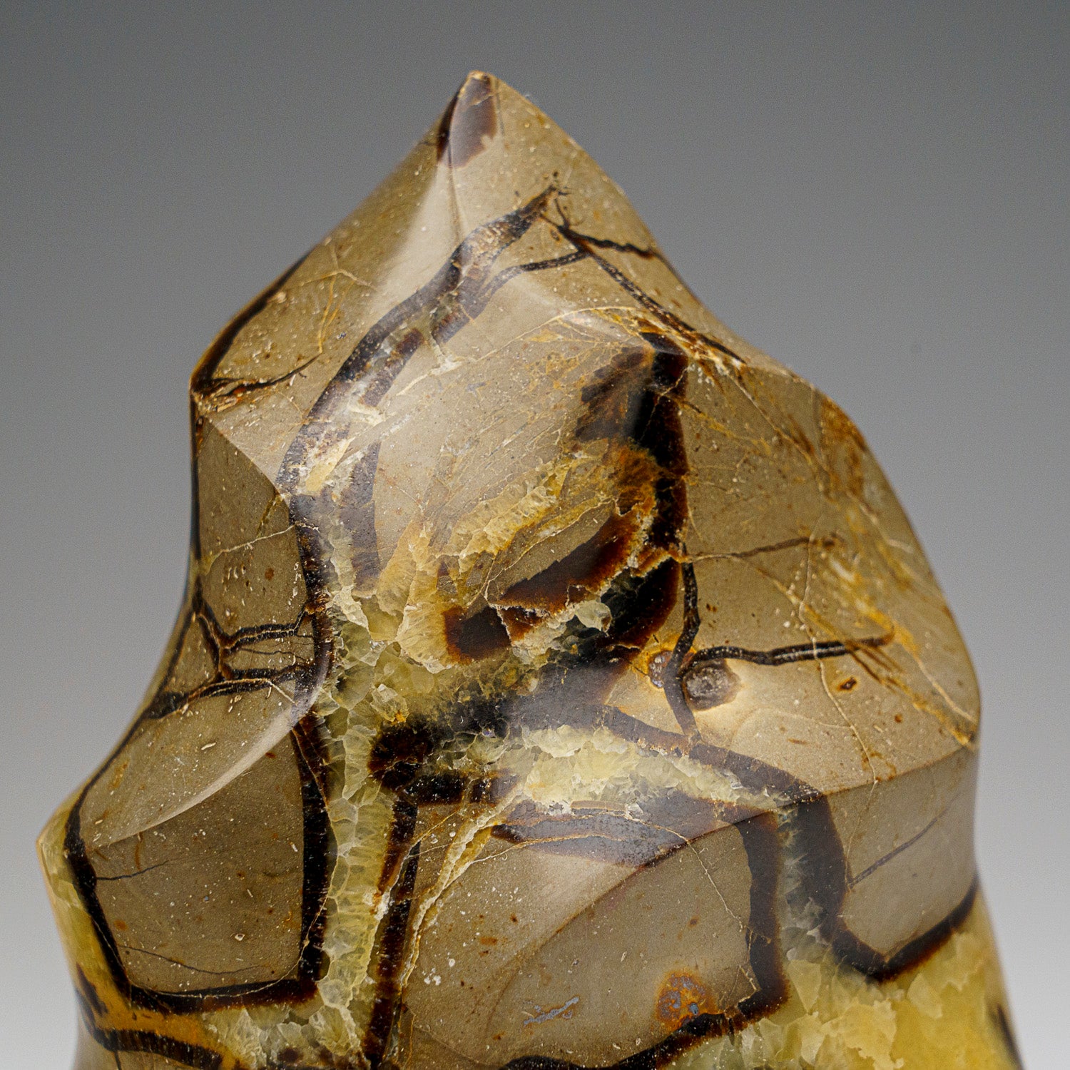 Polished Septarian Flame Freeform from Madagascar (2.1 lbs)