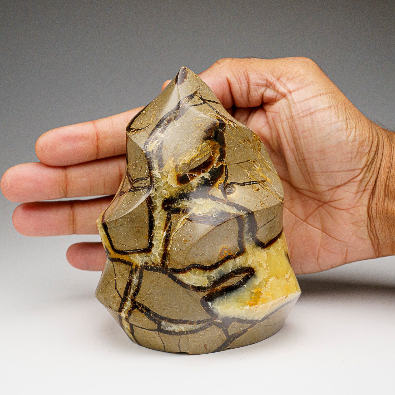 Polished Septarian Flame Freeform from Madagascar (2.1 lbs)