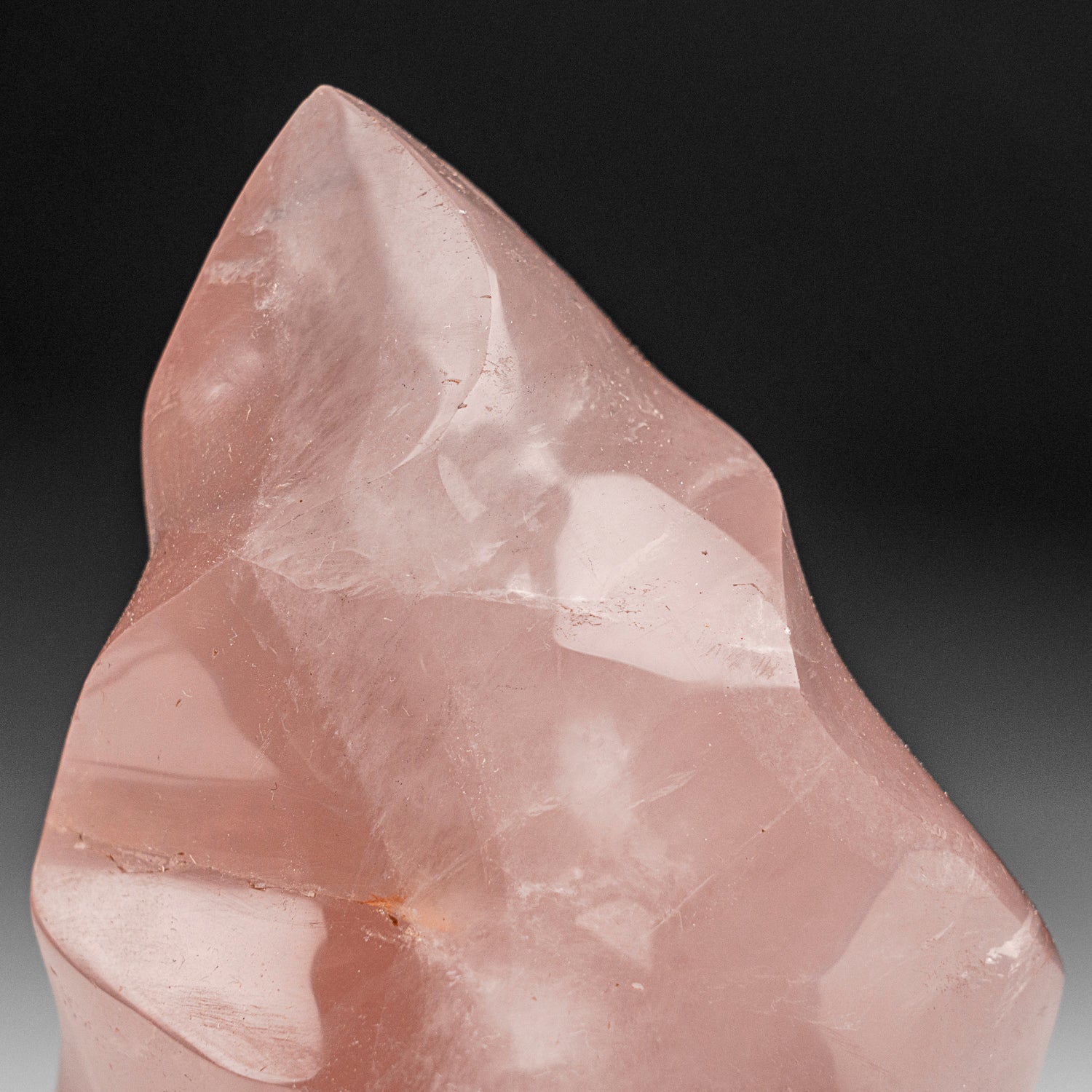 Polished Rose Quartz Flame Freeform From Brazil (1.4 lbs)