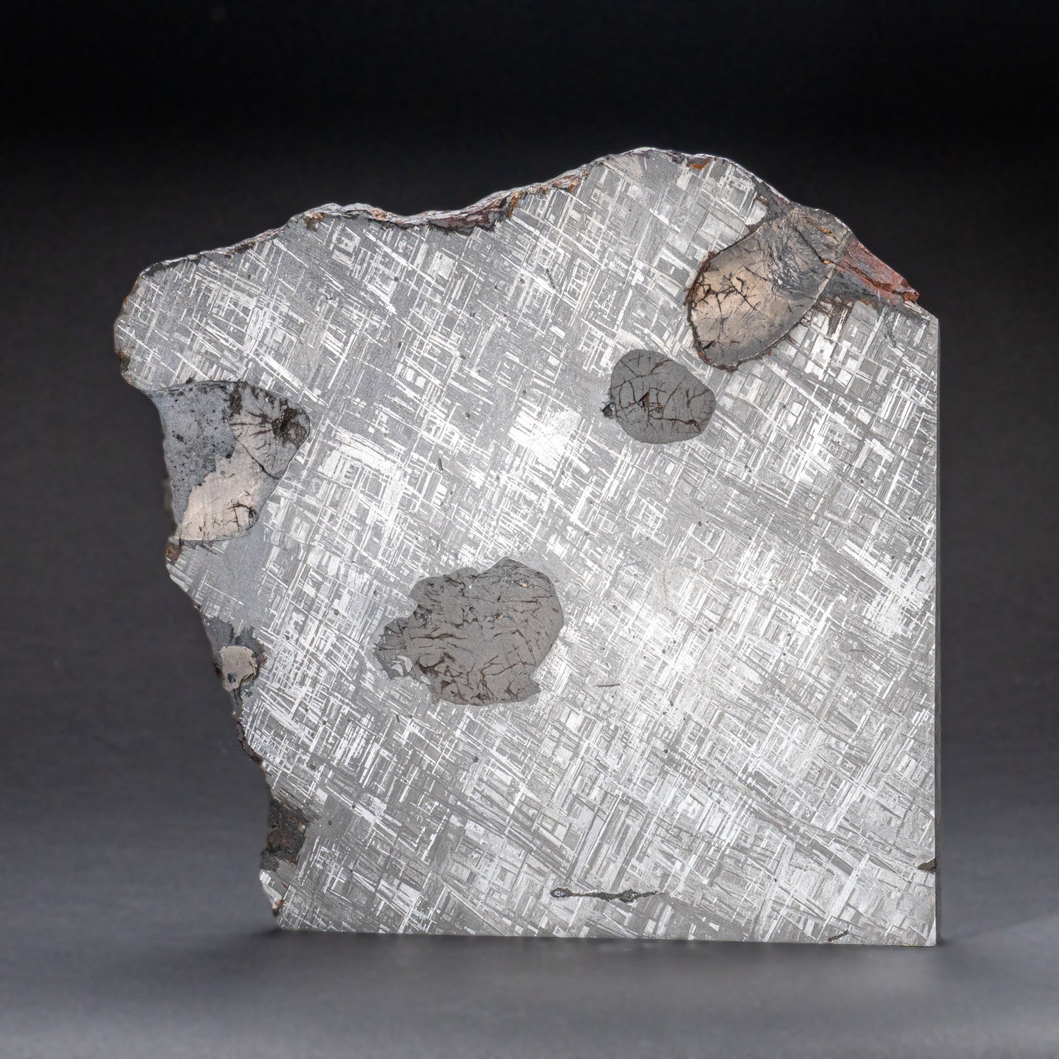 Genuine Large Muonionalusta Meteorite Slice (14.5 lbs)
