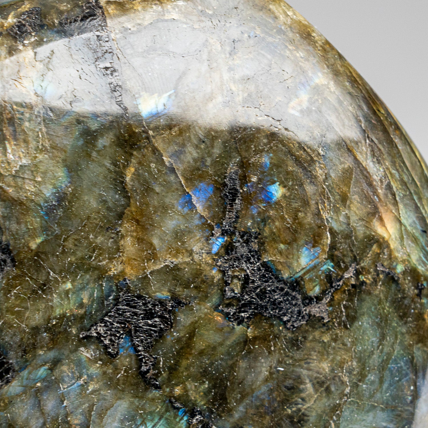 Polished Labradorite Freeform from Madagascar (2.7 lbs)