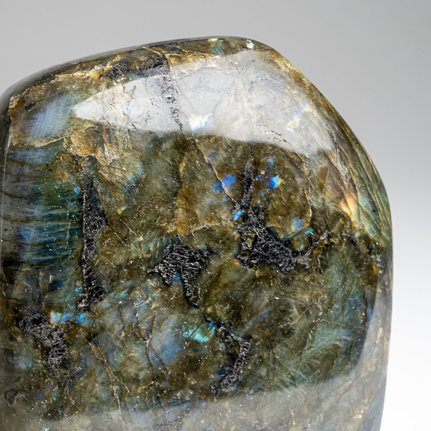 Polished Labradorite Freeform from Madagascar (2.7 lbs)