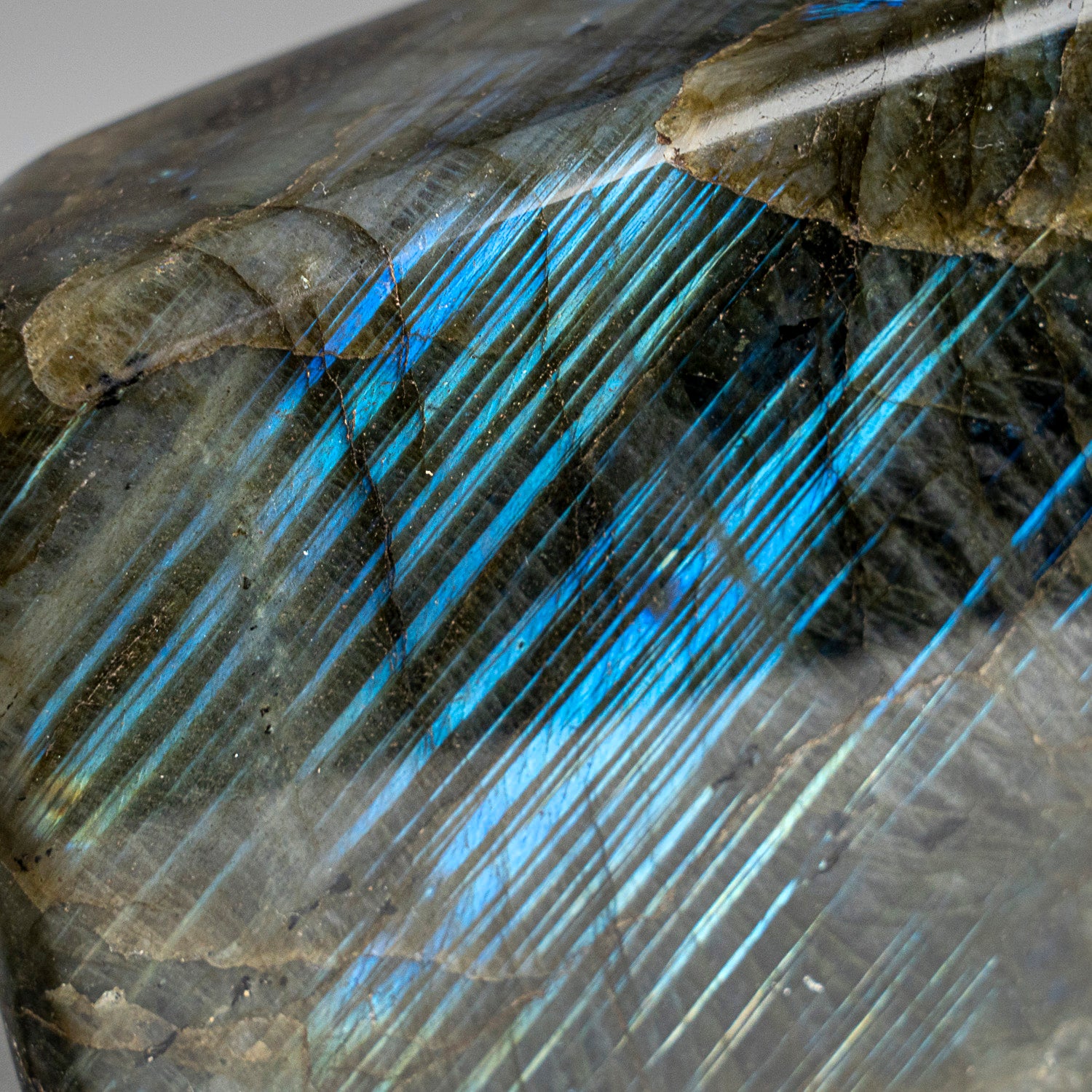 Polished Labradorite Freeform from Madagascar (2.4 lbs)