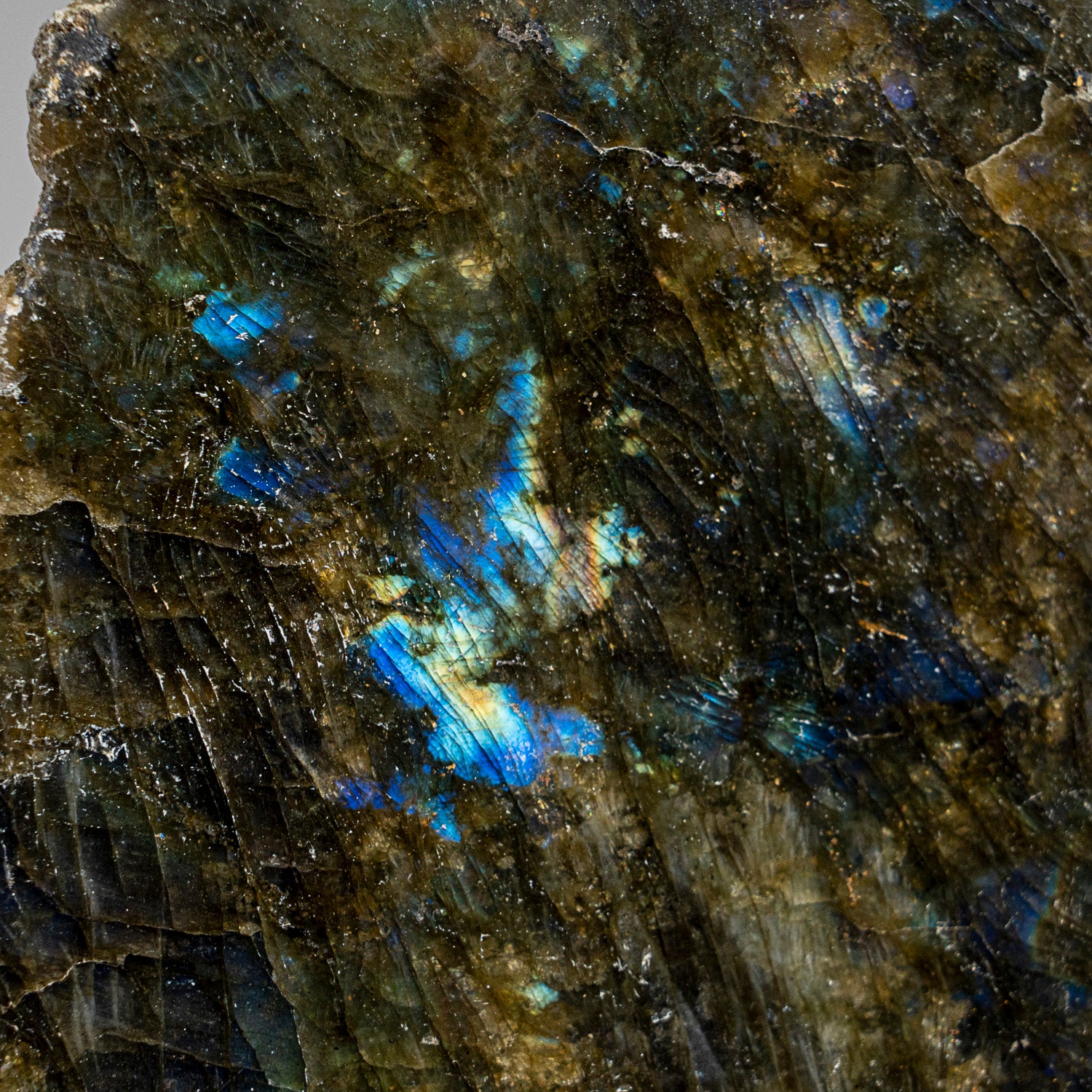 Polished Labradorite Freeform from Madagascar (2.3 lbs)