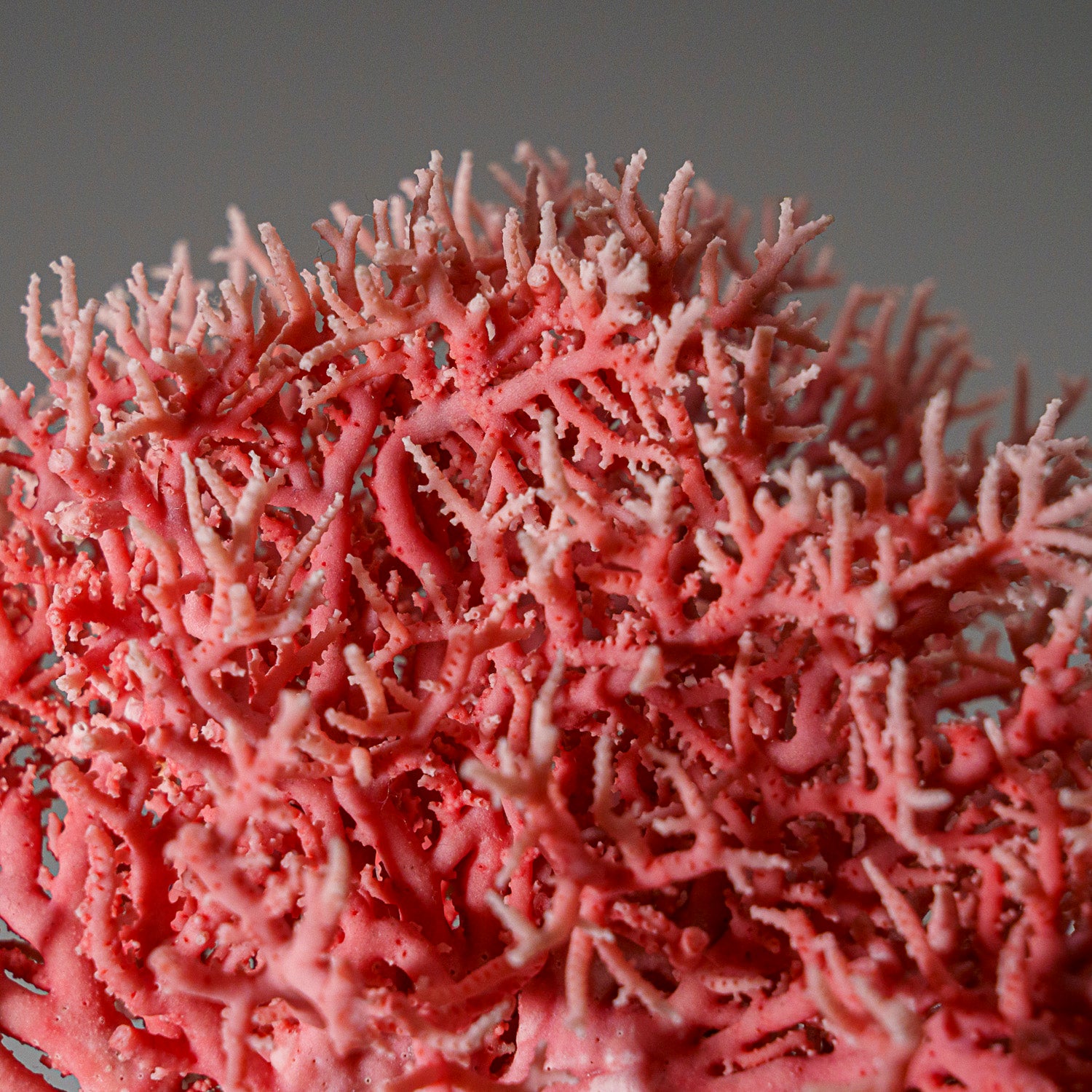 Genuine Pink Sea Coral (102 grams)