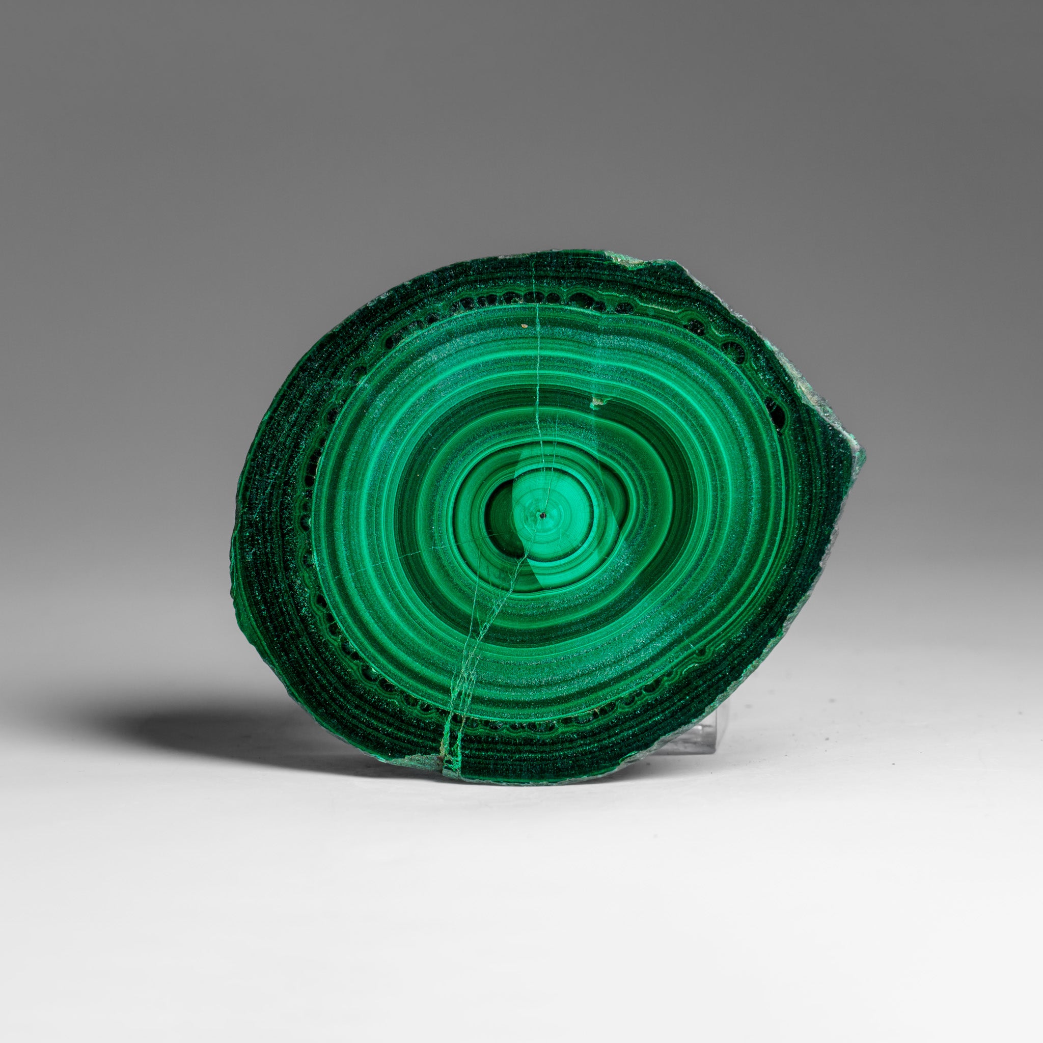 Genuine Polished Malachite Stalactite Slice (139.5 grams)