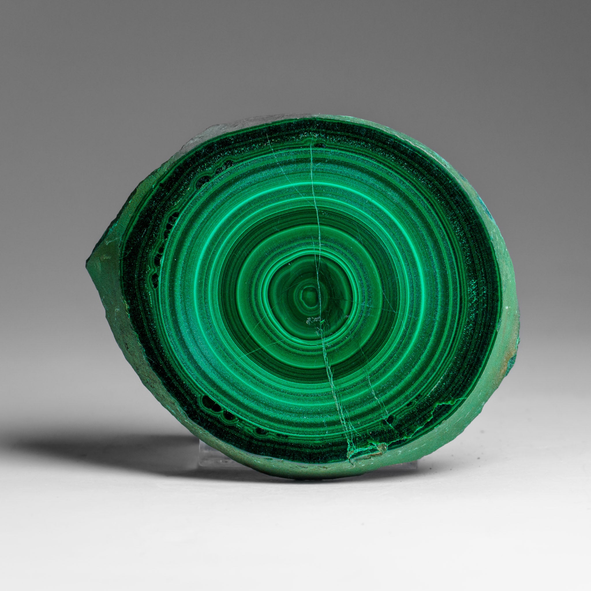 Genuine Polished Malachite Stalactite Slice (139.5 grams)