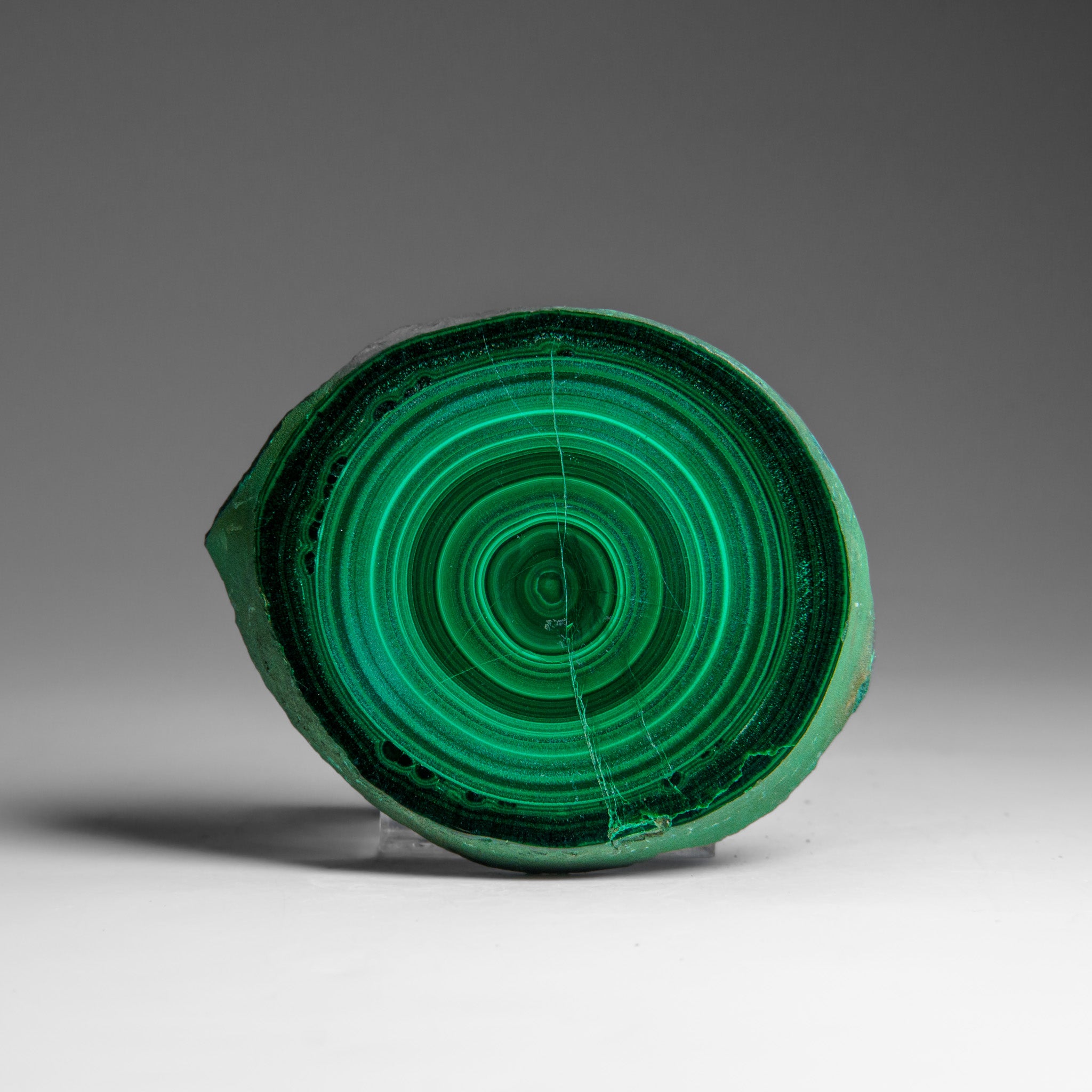 Genuine Polished Malachite Stalactite Slice (139.5 grams)