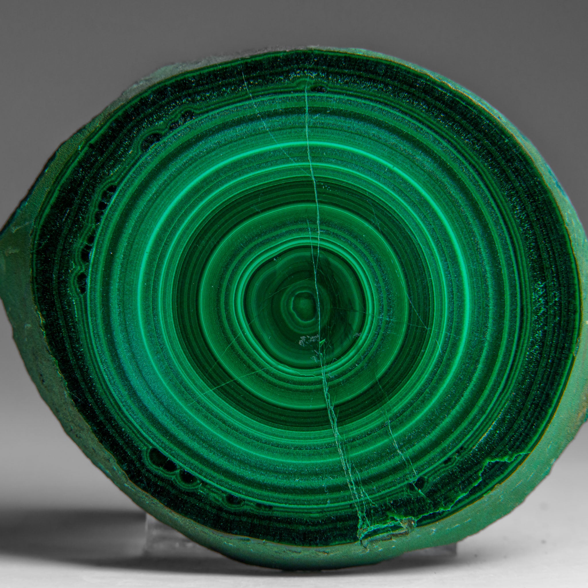 Genuine Polished Malachite Stalactite Slice (139.5 grams)