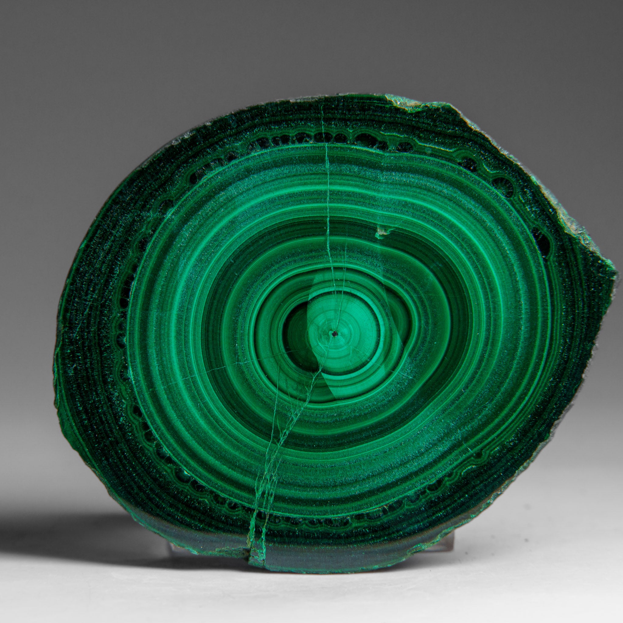 Genuine Polished Malachite Stalactite Slice (139.5 grams)