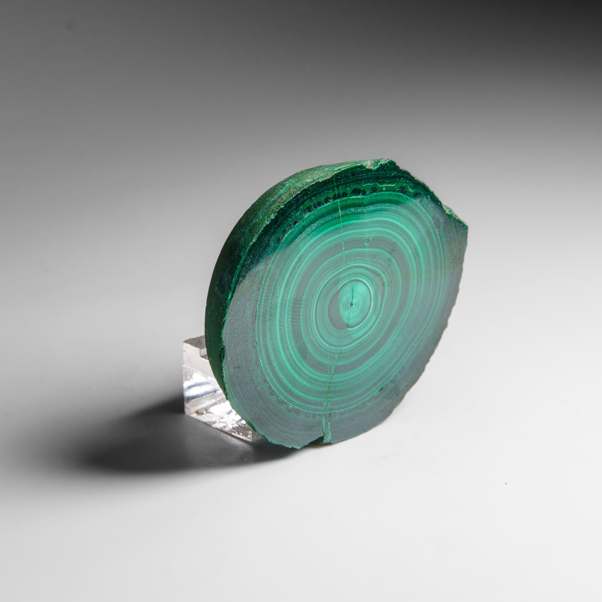 Genuine Polished Malachite Stalactite Slice (139.5 grams)