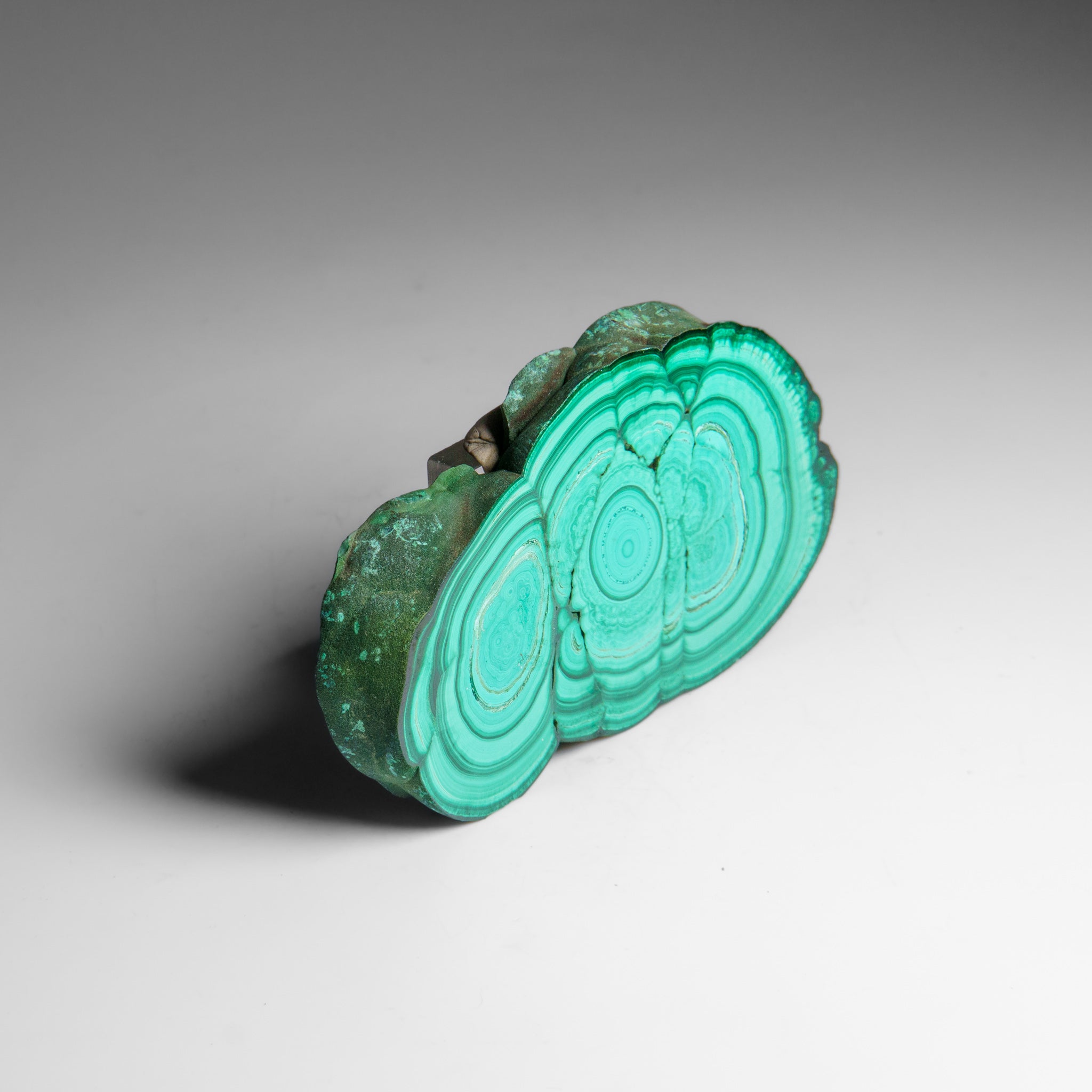 Genuine Polished Malachite Stalactite Slice (124.3 grams)