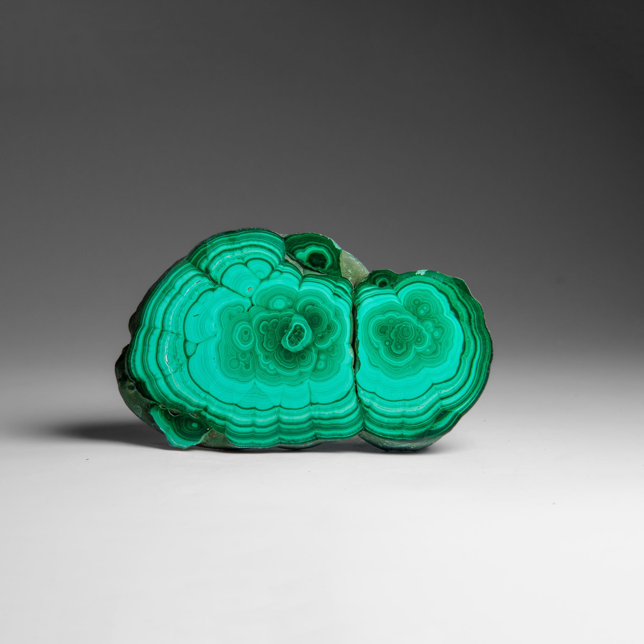 Genuine Polished Malachite Stalactite Slice (124.3 grams)