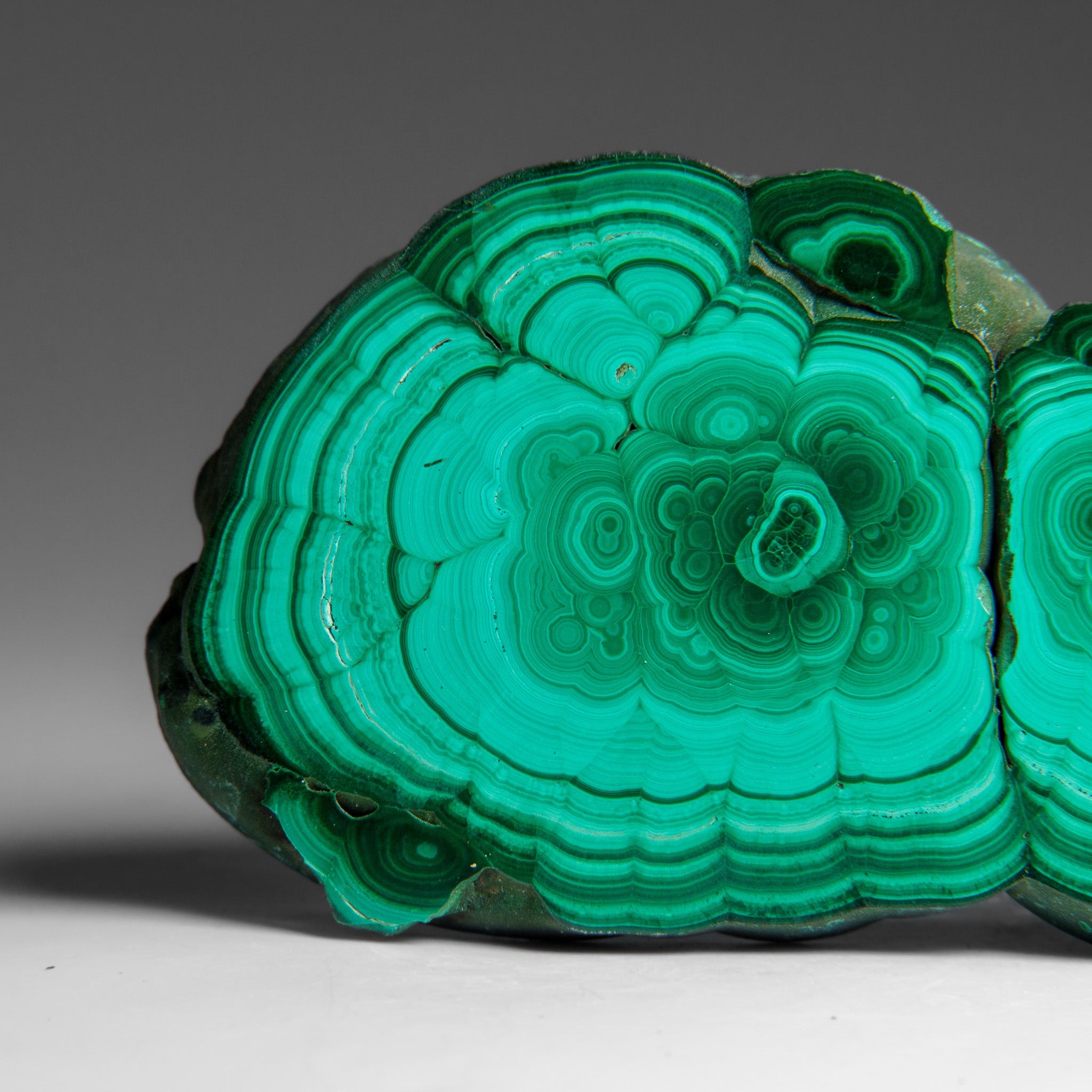 Genuine Polished Malachite Stalactite Slice (124.3 grams)