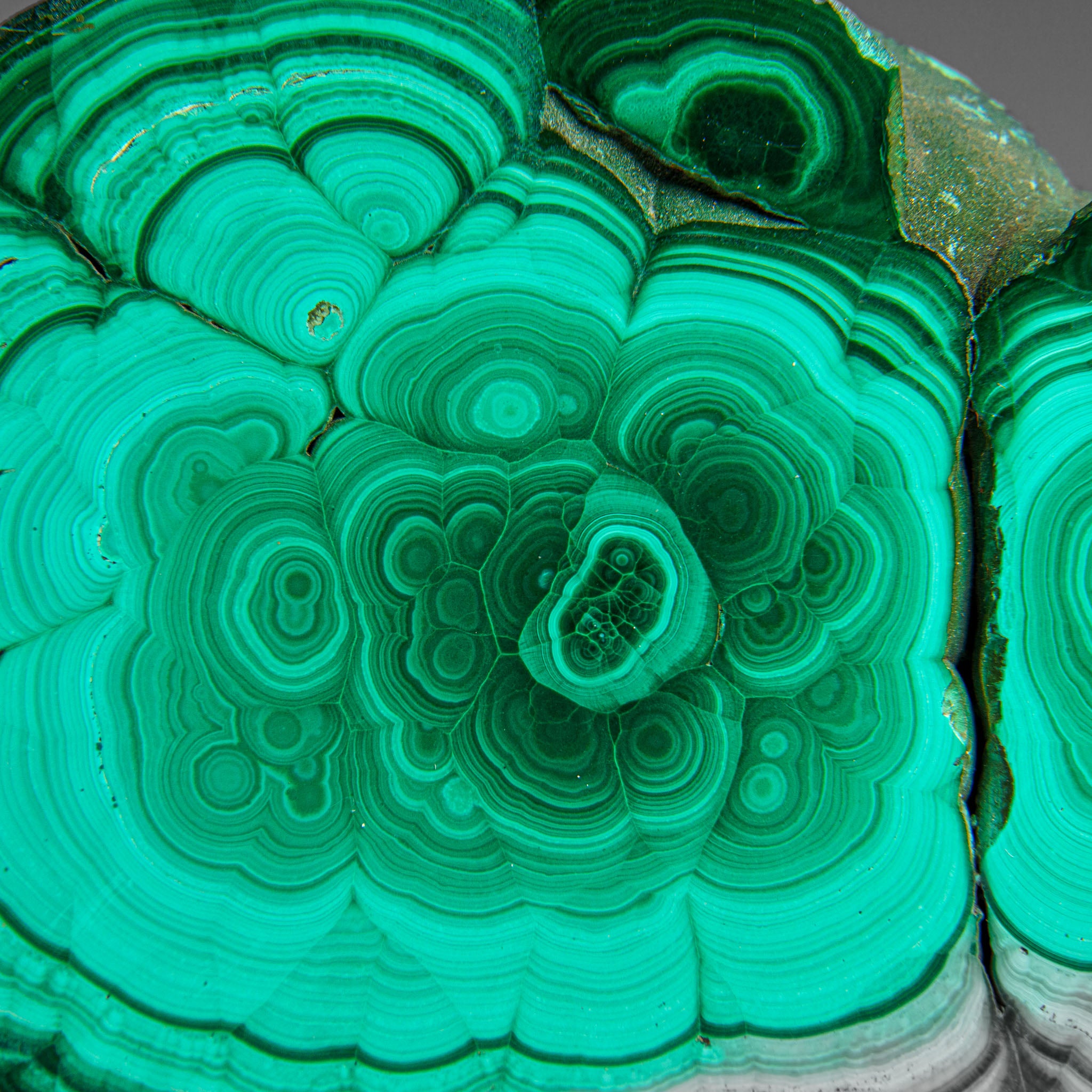 Genuine Polished Malachite Stalactite Slice (124.3 grams)