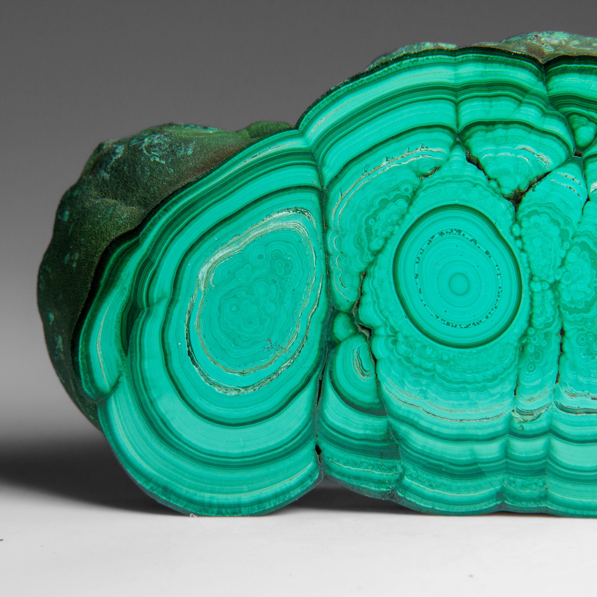 Genuine Polished Malachite Stalactite Slice (124.3 grams)