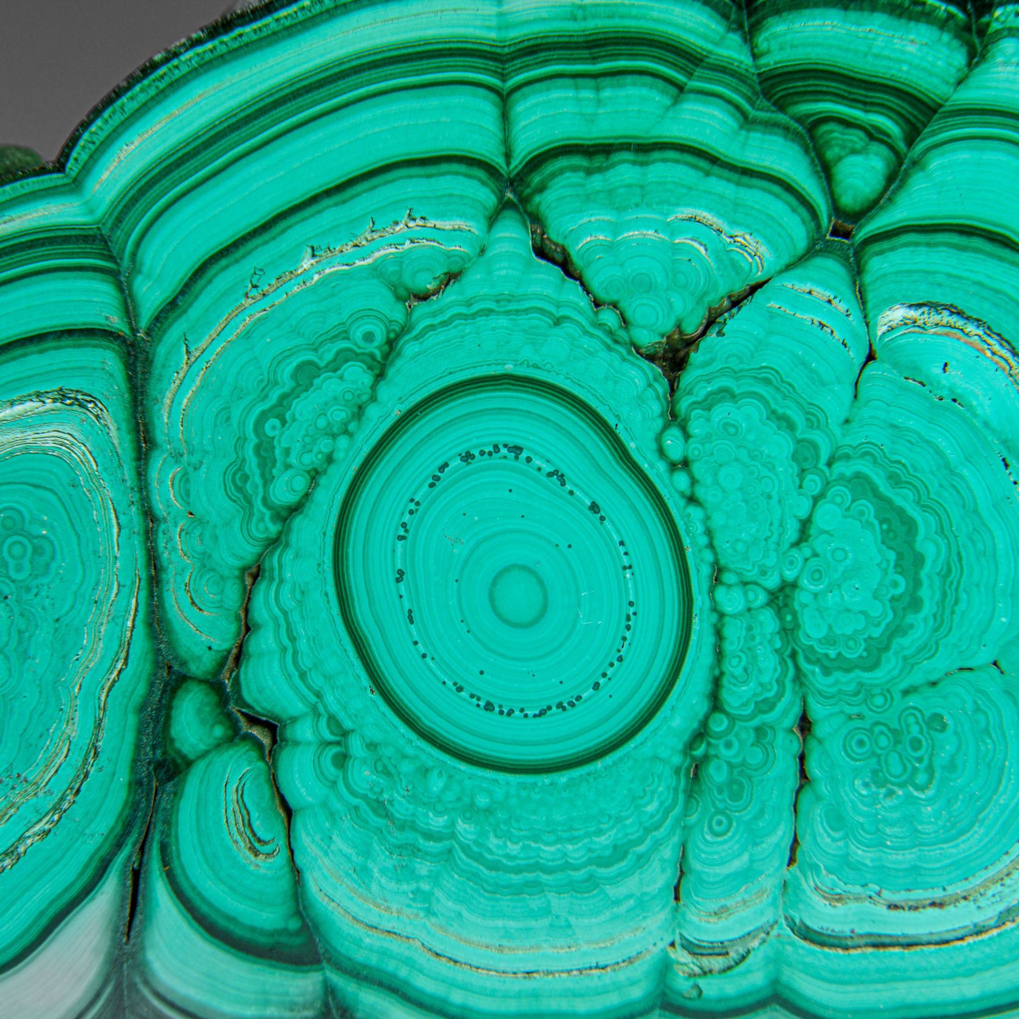 Genuine Polished Malachite Stalactite Slice (124.3 grams)