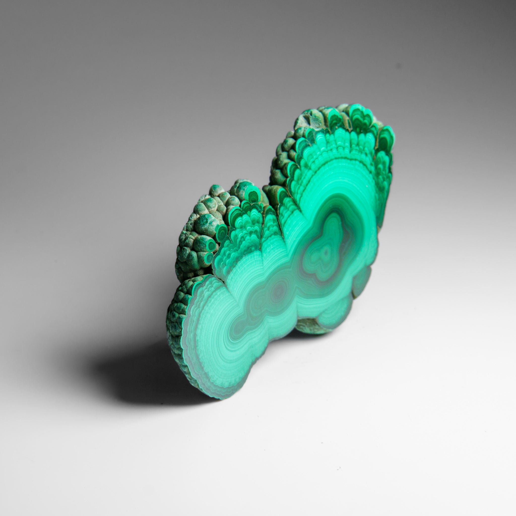 Genuine Polished Malachite Stalactite Slice (292.5 grams)